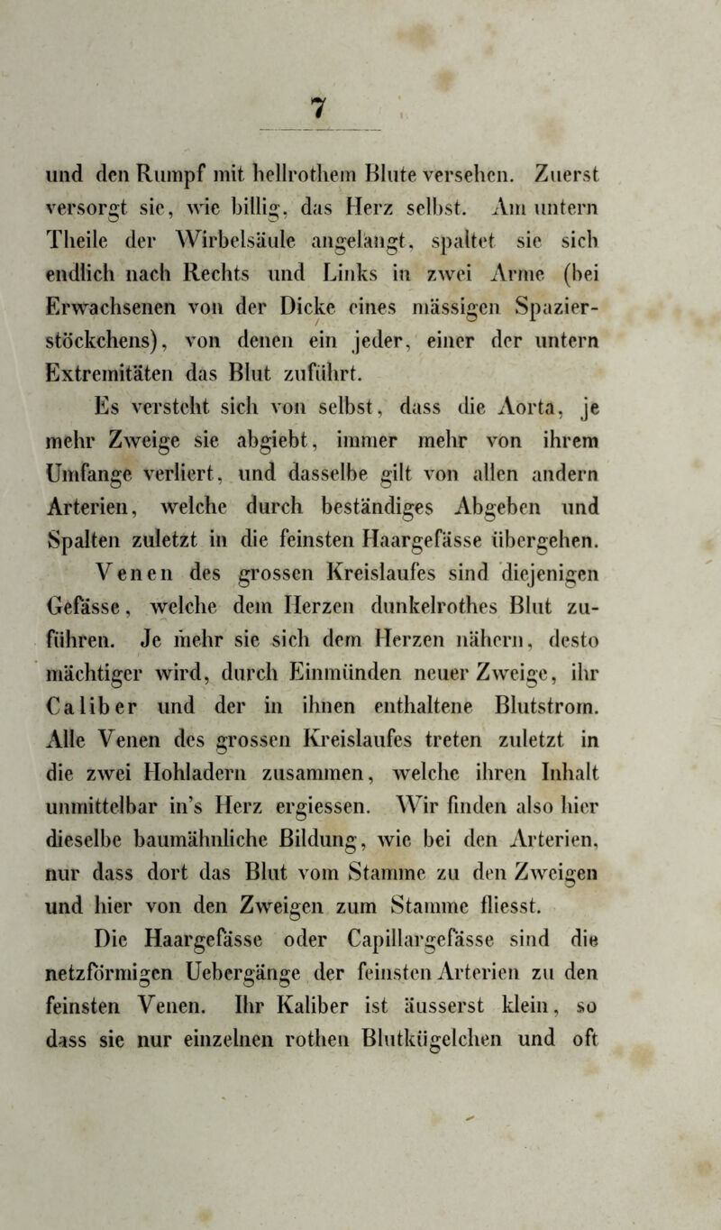 und den Rumpf mit liellrotliem Blute versehen. Zuerst versorgt sie, wie billig, das Herz seihst. Am untern Theile der Wirbelsäule angelängt, spaltet sie sich endlich nach Rechts und Links in zwei Arme (hei Erwachsenen von der Dicke eines massigen Spazier- stöckchens), von denen ein jeder, einer der untern Extremitäten das Blut zuführt. Es versteht sich von selbst, dass die Aorta, je mehr Zweige sie abgiebt, immer mehr von ihrem Umfange verliert, und dasselbe gilt von allen andern Arterien, welche durch beständiges Abgeben und Spalten zuletzt in die feinsten Haargefässe übergehen. Venen des grossen Kreislaufes sind diejenigen Gefässe, welche dem Herzen dunkelrothes Blut zu- führen. Je mehr sie sich dem Herzen nähern, desto mächtiger wird, durch Einmünden neuer Zweige, ihr Ca über und der in ihnen enthaltene Blutstrorn. Alle Venen des grossen Kreislaufes treten zuletzt in die zwei Hohladern zusammen, welche ihren Inhalt unmittelbar in’s Herz ergiessen. Wir finden also hier dieselbe baumähnliche Bildung, wie bei den Arterien, nur dass dort das Blut vom Stamme zu den Zweigen und hier von den Zweigen zum Stamme fliesst. Die Haargefässe oder Capillargefässe sind die netzförmigen Uebergänge der feinsten Arterien zu den feinsten Venen. Ihr Kaliber ist äusserst klein, so dass sie nur einzelnen rothen Bhitkügelchen und oft