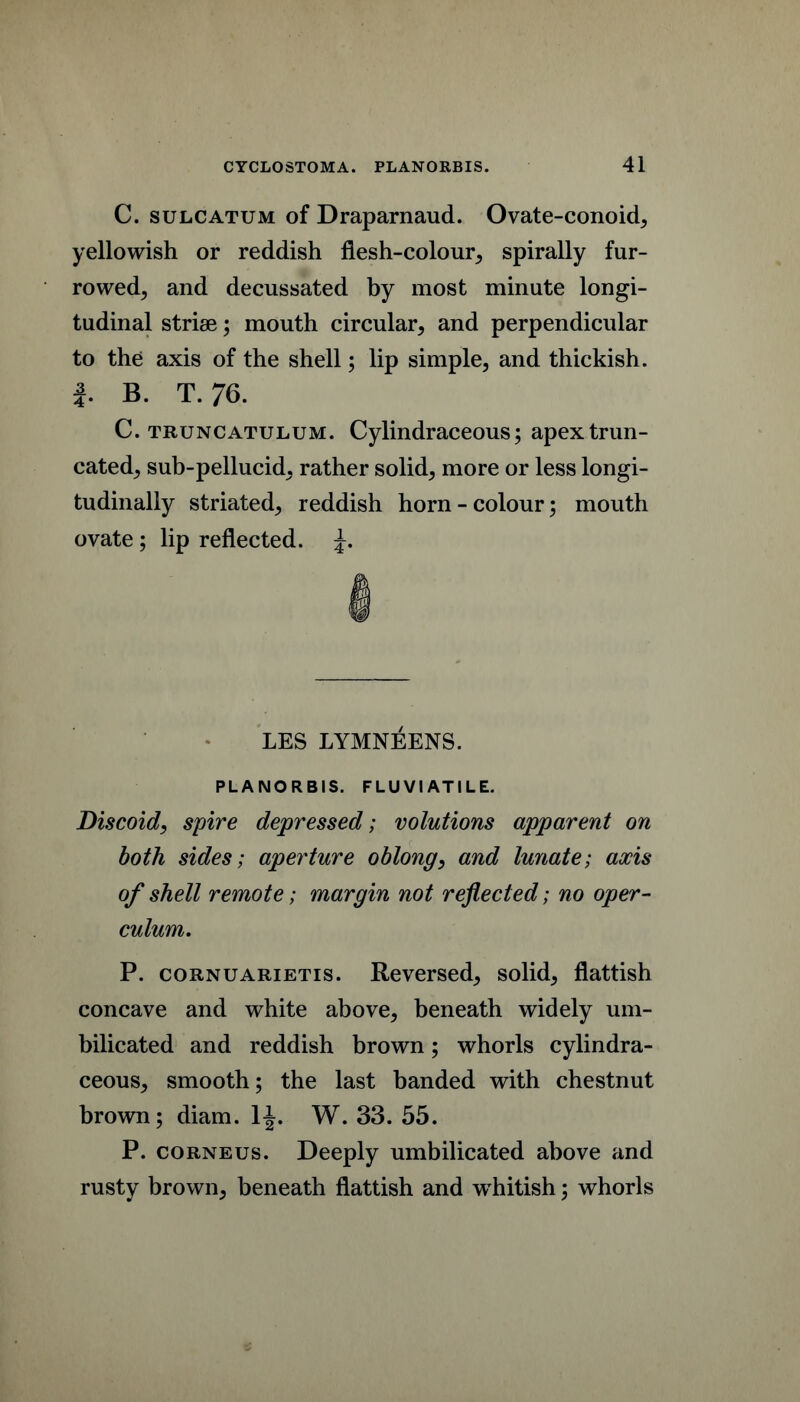 C. SULCATUM of Draparnaud. Ovate-conoid, yellowish or reddish flesh-colour, spirally fur- rowed, and decussated by most minute longi- tudinal striae; mouth circular, and perpendicular to the axis of the shell; lip simple, and thickish. B. T. 76. C. TRUNCATULUM. Cylindraceous; apex trun- cated, sub-pellucid, rather solid, more or less longi- tudinally striated, reddish horn-colour; mouth ovate; lip reflected. LES LYMNEENS. PLANORBIS. FLUVIATILE. Discoid, spire depressed; volutions apparent on both sides; aperture oblong, and lunate; axis of shell remote; margin not reflected; no oper- culum. P. coRNUARiETis. Reversed, solid, flattish concave and white above, beneath widely um- bilicated and reddish brown; whorls cylindra- ceous, smooth; the last banded with chestnut brown; diam. li W. 33. 55. P. coRNEus. Deeply umbilicated above and rusty brown, beneath flattish and w^hitish; whorls