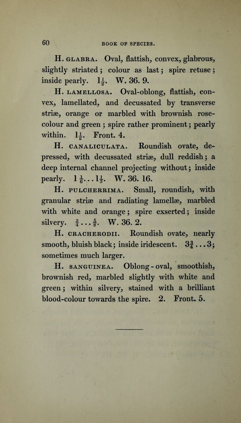 H. GLABRA. Oval, flattish, convex, glabrous, slightly striated; colour as last; spire retuse; inside pearly. 1^. W. 36. 9. H. LAMELLOSA. Oval-oblong, flattish, con- vex, lamellated, and decussated by transverse striae, orange or marbled with brownish rose- colour and green ; spire rather prominent; pearly within, li. Front. 4. H. CANALicuLATA. Roundish ovate, de- pressed, with decussated striae, dull reddish; a deep internal channel projecting without; inside pearly. 1 . .1}. W. 36. 16. H. PULCHERRiMA. Small, roundish, with granular striae and radiating lamellae, marbled with white and orange; spire exserted; inside silvery, f ... |. W. 36. 2. H. CRACHERODii. Roundish ovate, nearly smooth, bluish black; inside iridescent. 3|... 3; sometimes much larger. H. SANGUiNEA. Oblong - oval, smoothish, brownish red, marbled slightly with white and green; within silvery, stained with a brilliant blood-colour towards the spire. 2. Front. 5.