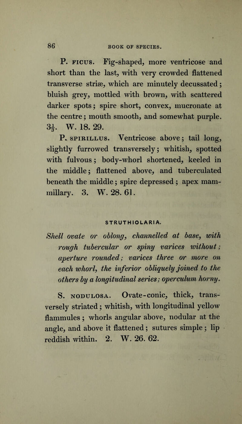 P. FICUS. Fig-shaped, more ventricose and short than the last, with very crowded flattened transverse striae, which are minutely decussated; hluish grey, mottled with brown, with scattered darker spots; spire short, convex, mucronate at the centre; mouth smooth, and somewhat purple. 3^. W. 18. 29. P. spiRTLLUs. Ventricose above; tail long, slightly furrowed transversely; whitish, spotted with fulvous; body-whorl shortened, keeled in the middle; flattened above, and tuberculated beneath the middle; spire depressed ; apex mam- millary. 3. W. 28. 61. STRUTHIOLARIA. Shell ovate or oblong, channelled at base, with rough tubercular or spiny varices without; aperture rounded; varices three or more on each whorl, the inferior obliquely joined to the others by a longitudinal series; operculum horny. S. NODULOSA. Ovate-conic, thick, trans- versely striated; whitish, with longitudinal yellow flammules ; whorls angular above, nodular at the angle, and above it flattened; sutures simple ; lip reddish within. 2. W. 26. 62.