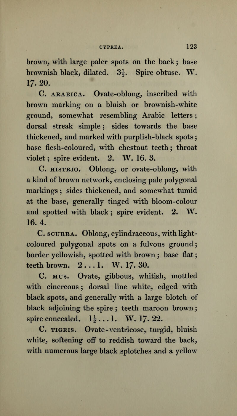 brown^ with large paler spots on the back; base brownish black, dilated. 3J. Spire obtuse. W. 17. 20. C. ARABiCA. Ovate-oblong, inscribed with brown marking on a bluish or brownish-white ground, somewhat resembling Arabic letters; dorsal streak simple; sides towards the base thickened, and marked with purplish-black spots; base flesh-coloured, with chestnut teeth; throat violet; spire evident. 2. W. 16. 3. C. HiSTRio. Oblong, or ovate-oblong, with a kind of brown network, enclosing pale polygonal markings; sides thickened, and somewhat tumid at the base, generally tinged with bloom-colour and spotted with black; spire evident. 2. W. 16. 4. C. scuRRA. Oblong, cylindraceous, with light- coloured polygonal spots on a fulvous ground; border yellowish, spotted with brown; base flat; teeth brown. 2 ... 1. W. I7. 30. C. Mus. Ovate, gibbous, whitish, mottled with cinereous; dorsal line white, edged with black spots, and generally with a large blotch of black adjoining the spire ; teeth maroon brown; spire concealed. IJ ... 1. W. I7. 22. C. TIGRIS. Ovate-ventricose, turgid, bluish white, softening off to reddish toward the back, with numerous large black splotches and a yellow