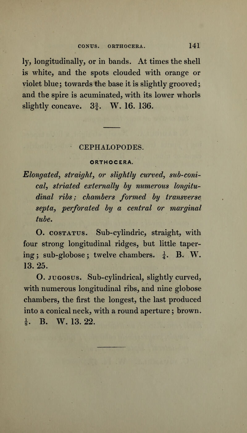 ly, longitudinally, or in bands. At times the shell is white, and the spots clouded with orange or violet blue; towards the base it is slightly grooved; and the spire is acuminated, with its lower whorls slightly concave. 3|. W. 16. 136. CEPHALOPODES. ORTHOCERA. Elongated, straight, or slightly curved, sub-coni- cal, striated externally by numerous longitu- dinal ribs; chambers formed by transverse septa, perforated by a central or marginal tube, O. COSTATUS. Sub-cylindric, straight, with four strong longitudinal ridges, but little taper- ing ; sub-globose; twelve chambers. B. W. 13. 25. O. JUGOSUS. Sub-cylindrical, slightly curved, with numerous longitudinal ribs, and nine globose chambers, the first the longest, the last produced into a conical neck, with a round aperture; brown. B. W. 13. 22.