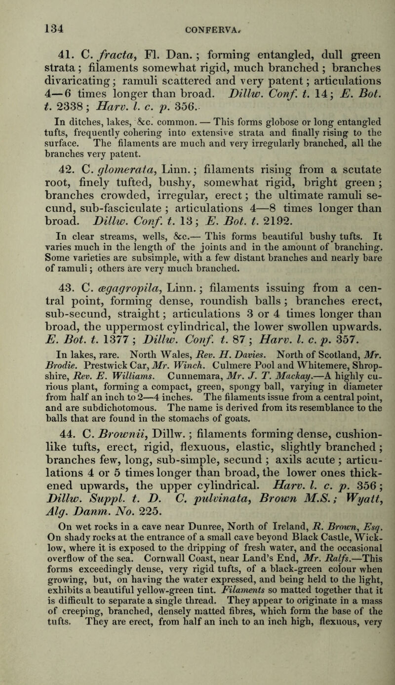 41. C. fracta, FI. Dan. ; forming entangled, dull green strata ; filaments somewhat rigid, much branched ; branches divaricating; ramuli scattered and very patent; articulations 4—6 times longer than broad. Dillw. Conf. t. 14; E. Bot. t. 2338; Harv. 1. c. p. 356. In ditches, lakes, &c. common. — This forms globose or long entangled tufts, frequently cohering into extensive strata and finally rising to the surface. The filaments are much and very irregularly branched, all the branches very patent. 42. C. glomerata, Linn.; filaments rising from a scutate root, finely tufted, bushy, somewhat rigid, bright green ; branches crowded, irregular, erect; the ultimate ramuli se- cund, sub-fasciculate ; articulations 4—8 times longer than broad. Dillw. Conf. t. 13; E. Bot. t. 2192. In clear streams, wells, &c.— This forms beautiful bushy tufts. It varies much in the length of the joints and in the amount of branching. Some varieties are subsimple, with a few distant branches and nearly hare of ramuli; others are very much branched. 43. C. wgagropila, Linn.; filaments issuing from a cen- tral point, forming dense, roundish balls ; branches erect, sub-secund, straight; articulations 3 or 4 times longer than broad, the uppermost cylindrical, the lower swollen upwards. E. Bot. t. 1377 ; Dillw. Conf. t. 87; Harv. 1. c. p. 357. In lakes, rare. North Wales, Rev. H. Davies. North of Scotland, Mr. Brodie. Prestwick Car, Mr. Winch. Culmere Pool and Whitemere, Shrop- shire, Rev. E. Williams. Cunnemara, Mr. J. T. Mackay.—A highly cu- rious plant, forming a compact, green, spongy hall, varying in diameter from half an inch to 2—4 inches. The filaments issue from a central point, and are subdichotomous. The name is derived from its resemblance to the halls that are found in the stomachs of goats. 44. C. Brownii, Dillw.; filaments forming dense, cushion- like tufts, erect, rigid, flexuous, elastic, slightly branched ; branches few, long, sub-simple, secund ; axils acute ; articu- lations 4 or 5 times longer than broad, the lower ones thick- ened upwards, the upper cylindrical. Harv. 1. c. p. 356; Dillw. Suppl. t. D. C. pulvinata, Brown M.S.; Wyatt, Alg. Damn. No. 225. On wet rocks in a cave near Dunree, North of Ireland, R. Brown, Esq. On shady rocks at the entrance of a small cave beyond Black Castle, Wick- low, where it is exposed to the dripping of fresh water, and the occasional overflow of the sea. Cornwall Coast, near Land’s End, Mr. Ralfs.—This forms exceedingly dense, very rigid tufts, of a black-green colour when growing, hut, on having the water expressed, and being held to the light, exhibits a beautiful yellow-green tint. Filaments so matted together that it is difficult to separate a single thread. They appear to originate in a mass of creeping, branched, densely matted fibres, which form the base of the tufts. They are erect, from half an inch to an inch high, flexuous, very