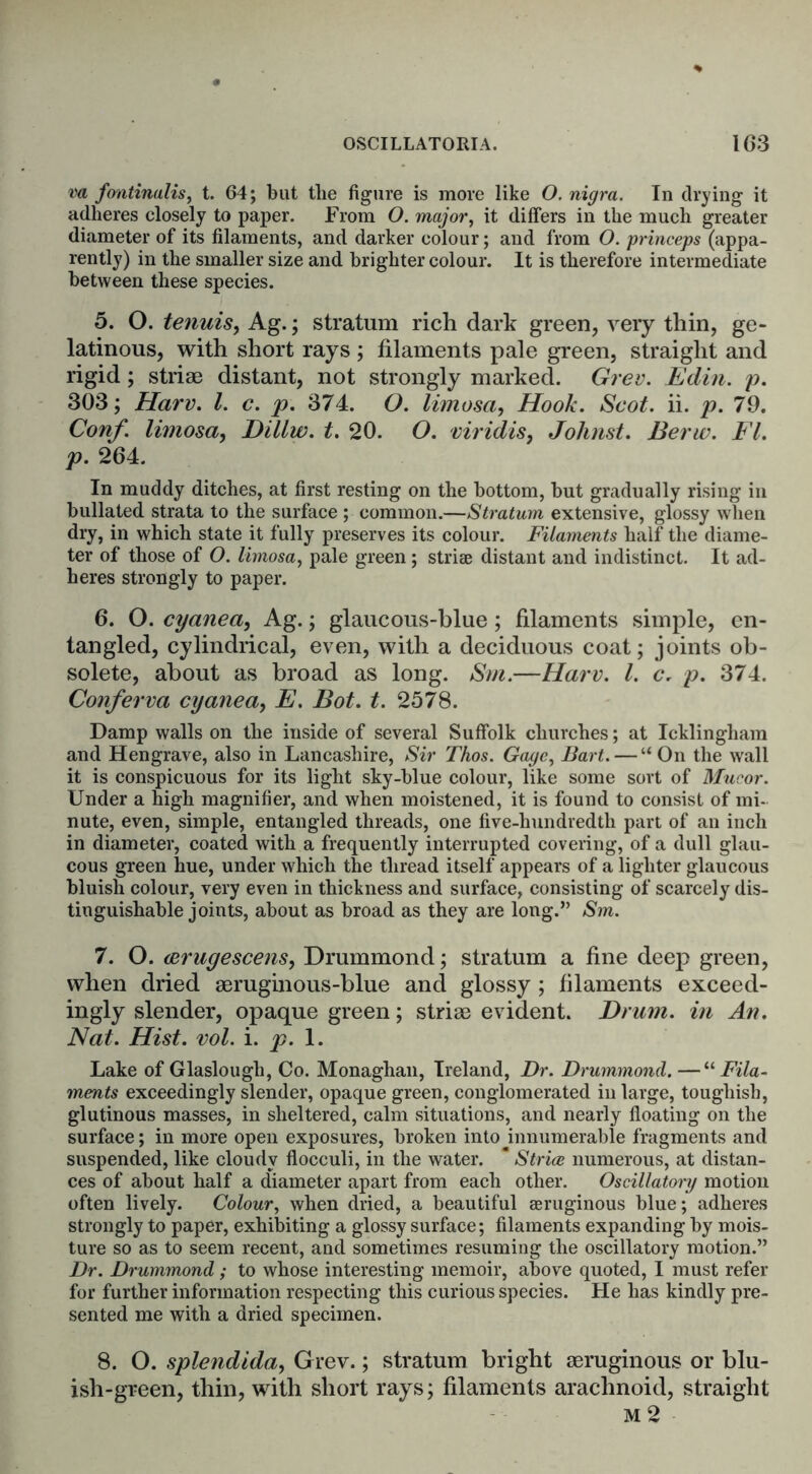 va fontinalis, t. 64; but tlie figure is more like O. nigra. In drying it adheres closely to paper. From O. major, it differs in the much greater diameter of its filaments, and darker colour; and from O. princeps (appa- rently) in the smaller size and brighter colour. It is therefore intermediate between these species. 5. O. tenuis, Ag.; stratum rich dark green, very thin, ge- latinous, with short rays ; filaments pale green, straight and rigid; striae distant, not strongly marked. Grev. Edin. p. 303; Harv. 1. c. p. 374. O. limosa, Hook. Scot. ii. p. 79. Conf. limosa, Dillw. t. 20. O. viridis, Johnst. Berw. FI. p. 264. In muddy ditches, at first resting on the bottom, but gradually rising in bullated strata to the surface ; common.—Stratum extensive, glossy when dry, in which state it fully preserves its colour. Filaments half the diame- ter of those of O. limosa, pale green; striae distant and indistinct. It ad- heres strongly to paper. 6. O. cyanea, Ag.; glaucous-blue; filaments simple, en- tangled, cylindrical, even, with a deciduous coat; joints ob- solete, about as broad as long. Sm.—Harv. 1. c. p. 374. Conferva cyanea, E. Bot. t. 2578. Damp walls on the inside of several Suffolk churches; at Icklingliam and Hengrave, also in Lancashire, Sir Thos. Gage, Bart. — “ On the wall it is conspicuous for its light sky-blue colour, like some sort of Mucor. Under a high magnifier, and when moistened, it is found to consist of mi- nute, even, simple, entangled threads, one five-hundredth part of an inch in diameter, coated with a frequently interrupted covering, of a dull glau- cous green hue, under which the thread itself appears of a lighter glaucous bluish colour, very even in thickness and surface, consisting of scarcely dis- tinguishable joints, about as broad as they are long.” Sm. 7. O. ceruyescens, Drummond; stratum a fine deep green, when dried aeruginous-blue and glossy ; filaments exceed- ingly slender, opaque green; striae evident. Drum, in An. Nat. Hist. vol. i. p. 1. Lake of Glaslough, Co. Monaghan, Ireland, Dr. Drummond.—11 Fila- ments exceedingly slender, opaque green, conglomerated in large, tougliisb, glutinous masses, in sheltered, calm .situations, and nearly floating on the surface; in more open exposures, broken into^innumerable fragments and suspended, like cloudy flocculi, in the water. * Strice numerous, at distan- ces of about half a diameter apart from each other. Oscillatory motion often lively. Colour, when dried, a beautiful seruginous blue; adheres strongly to paper, exhibiting a glossy surface; filaments expanding by mois- ture so as to seem recent, and sometimes resuming the oscillatory motion.” Dr. Drummond; to whose interesting memoir, above quoted, I must refer for further information respecting this curious species. He has kindly pre- sented me with a dried specimen. 8. O. splendida, Grev.; stratum bright aeruginous or blu- ish-green, thin, with short rays; filaments arachnoid, straight M 2