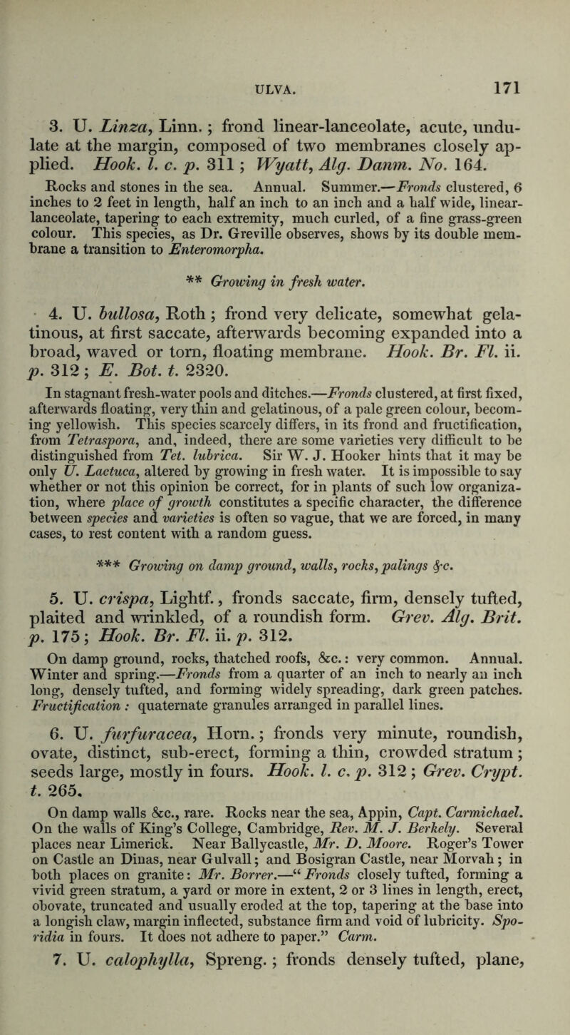 3. U. Linza, Linn.; frond linear-lanceolate, acute, undu- late at the margin, composed of two membranes closely ap- plied. Hook. 1. c. p. 311; Wyatt, Alg. Damn. No. 164. Rocks and stones in the sea. Annual. Summer.—Fronds clustered, 6 inches to 2 feet in length, half an inch to an inch and a half wide, linear- lanceolate, tapering to each extremity, much curled, of a fine grass-green colour. This species, as Dr. Greville observes, shows by its double mem- brane a transition to Enteromorpha. ** Growing in fresh water. 4. U. bullosa, Roth; frond very delicate, somewhat gela- tinous, at first saccate, afterwards becoming expanded into a broad, waved or tom, floating membrane. Hook. Br. FI. ii. p. 312 ; E. Bot. t. 2320. In stagnant fresh-water pools and ditches.—Fronds clustered, at first fixed, afterwards floating, very thin and gelatinous, of a pale green colour, becom- ing yellowish. This species scarcely differs, in its frond and fructification, from Tetraspora, and, indeed, there are some varieties very difficult to be distinguished from Tet. lubrica. Sir W. J. Hooker hints that it may be only U. Lactuca, altered by growing in fresh water. It is impossible to say whether or not this opinion be correct, for in plants of such low organiza- tion, where place of growth constitutes a specific character, the difference between species and varieties is often so vague, that we are forced, in many cases, to rest content with a random guess. *** Growing on damp ground, walls^ rocks, palings fyc. 5. U. crispa, Lightf., fronds saccate, firm, densely tufted, plaited and wrinkled, of a roundish form. Grev. Alg. Brit, p. 175; Hook. Br. FI. ii. p. 312. On damp ground, rocks, thatched roofs, &c.: very common. Annual. Winter and spring.—Fronds from a quarter of an inch to nearly an inch long, densely tufted, and forming widely spreading, dark green patches. Fructification : quaternate granules arranged in parallel lines. 6. U. farfuracea, Horn.; fronds very minute, roundish, ovate, distinct, sub-erect, forming a thin, crowded stratum; seeds large, mostly in fours. Hook. 1. c, p. 312 ; Grev. Crypt, t. 265. On damp walls &c., rare. Rocks near the sea, Appin, Capt. Carmichael. On the walls of King’s College, Cambridge, Rev. M. J. Berkely. Several places near Limerick. Near Ballycastle, Mr. D. Moore. Roger’s Tower on Castle an Dinas, near Gulvall; and Bosigran Castle, near Morvah; in both places on granite: Mr. Borrer.—“ Fronds closely tufted, forming a vivid green stratum, a yard or more in extent, 2 or 3 lines in length, erect, obovate, truncated and usually eroded at the top, tapering at the base into a longish claw, margin inflected, substance firm and void of lubricity. Spo- ridia in fours. It does not adhere to paper.” Carm. 7. U. calophylla, Spreng.; fronds densely tufted, plane,