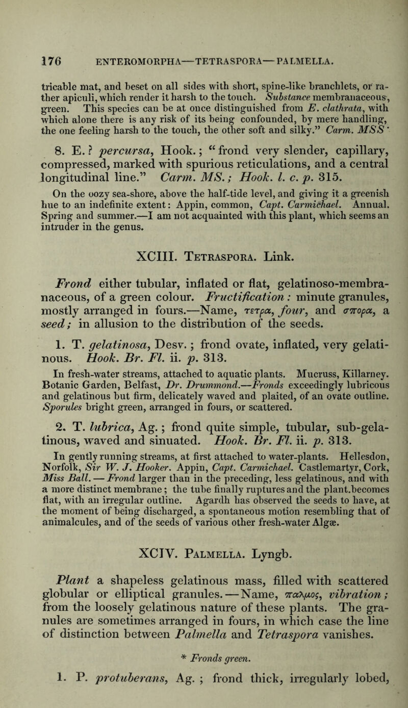 tricable mat, and beset on all sides with short, spine-like branchlets, or ra- ther apiculi, which render it harsh to the touch. Substance membranaceous , green. This species can be at once distinguished from E. clathrata, with which alone there is any risk of its being confounded, by mere handling, the one feeling harsh to the touch, the other soft and silky.” Carm. MSS' 8. E. ? percursa, Hook.; “frond very slender, capillary, compressed, marked with spurious reticulations, and a central longitudinal line.” Carm. MS.; Hook. 1. c. p. 315. On the oozy sea-shore, above the half-tide level, and giving it a greenish hue to an indefinite extent: Appin, common, Capt. Carmichael. Annual. Spring and summer.—I am not acquainted with this plant, which seems an intruder in the genus. XCIII. Tetraspora. Link. Frond either tubular, inflated or flat, gelatinoso-membra- naceous, of a green colour. Fructification: minute granules, mostly arranged in fours.—Name, reTpoc, four, and wopa, a seed; in allusion to the distribution of the seeds. 1. T. gelatinosa, Desv.; frond ovate, inflated, very gelati- nous. Hook. Br. FI. ii. p. 313. In fresh-water streams, attached to aquatic plants. Mucruss, Killarney. Botanic Garden, Belfast, Dr. Drummond.—Fronds exceedingly lubricous and gelatinous but firm, delicately waved and plaited, of an ovate outline. Sporules bright green, arranged in fours, or scattered. 2. T. lubrica, Ag.; frond quite simple, tubular, sub-gela- tinous, waved and sinuated. Hook. Br. FI. ii. p. 313. In gently running streams, at first attached to water-plants. Hellesdon, Norfolk, Sir W. J. Hooker. Appin, Capt. Carmichael. Castlemartyr, Cork, Miss Ball. — Frond larger than in the preceding, less gelatinous, and with a more distinct membrane; the tube finally ruptures and the plant.becomes flat, with an irregular outline. Agardh has observed the seeds to have, at the moment of being discharged, a spontaneous motion resembling that of animalcules, and of the seeds of various other fresh-water Algae. XCIV. Palmella. Lyngb. Plant a shapeless gelatinous mass, filled with scattered globular or elliptical granules.—Name, sratyiof, vibration; from the loosely gelatinous nature of these plants. The gra- nules are sometimes arranged in fours, in which case the line of distinction between Palmella and Tetraspora vanishes. * Fronds green. 1. P. protuberans, Ag. ; frond thick, irregularly lobed,