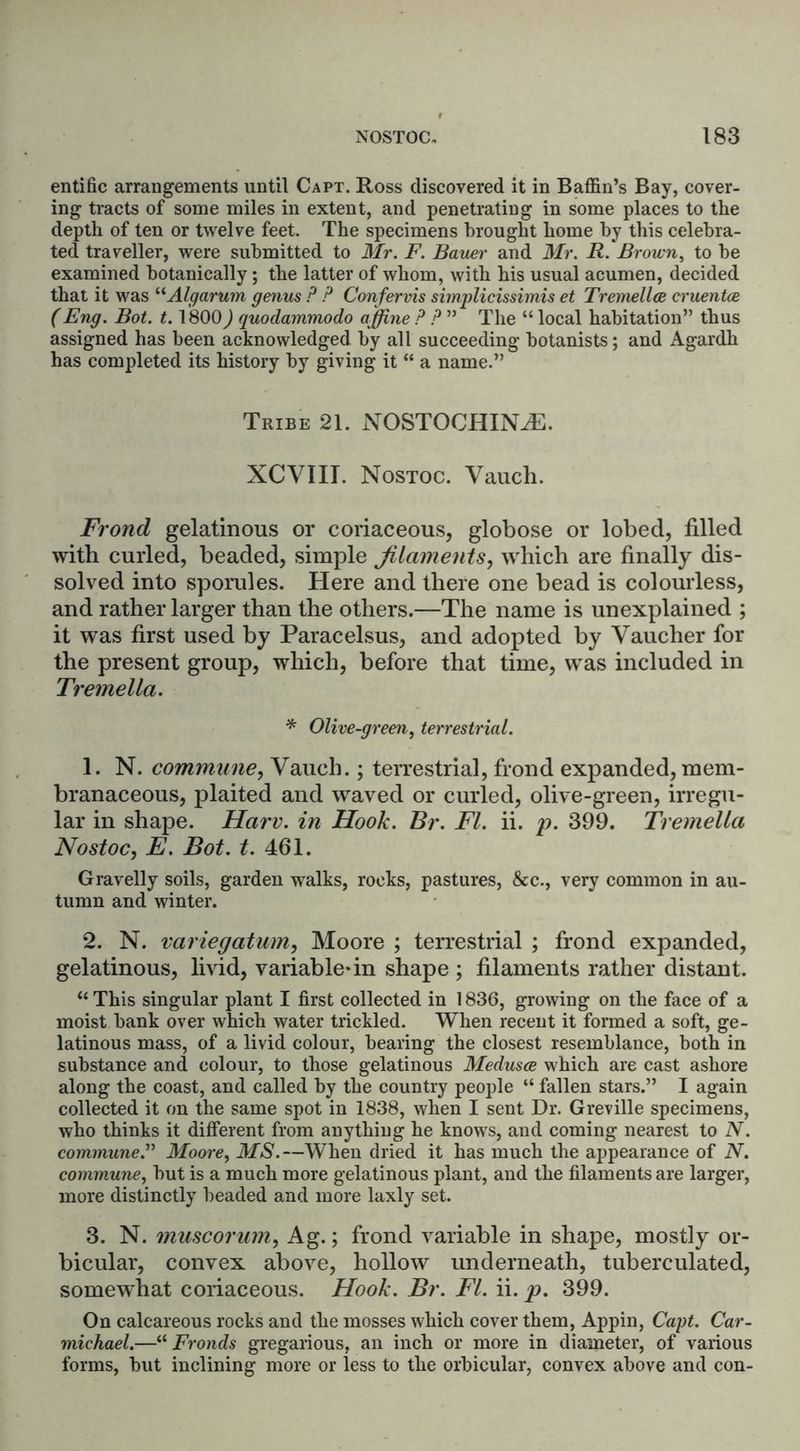 entific arrangements until Capt. Ross discovered it in Baffin’s Bay, cover- ing tracts of some miles in extent, and penetrating in some places to tlie depth of ten or twelve feet. The specimens brought home by this celebra- ted traveller, were submitted to Mr. F. Bauer and Mr. R. Brown, to be examined botanically; the latter of whom, with his usual acumen, decided that it was “Algarum genus P P Confervis simplicissimis et Tremellce cruentce (Eng. Bot. 1.1800) quodammodo affine P P ” The “ local habitation” thus assigned has been acknowledged by all succeeding botanists; and Agardh has completed its history by giving it “ a name.” Tribe 21. NOSTOCHIN^E. XCVIII. Nostoc. Vauch. Frond gelatinous or coriaceous, globose or lobed, filled with curled, beaded, simple filaments, which are finally dis- solved into sporules. Here and there one bead is colourless, and rather larger than the others.—The name is unexplained ; it was first used by Paracelsus, and adopted by Vaucher for the present group, which, before that time, was included in Tremella. * Olive-green, terrestrial. 1. N. commune, Vauch.; terrestrial, frond expanded, mem- branaceous, plaited and waved or curled, olive-green, irregu- lar in shape. Harv. in Hook. Br. FI. ii. p. 399. Tremella Nostoc, E. Bot. t. 461. Gravelly soils, garden walks, rocks, pastures, &c., very common in au- tumn and winter. 2. N. variegatum, Moore ; terrestrial ; frond expanded, gelatinous, livid, variable*in shape ; filaments rather distant. “ This singular plant I first collected in 1836, growing on the face of a moist bank over which water trickled. When recent it formed a soft, ge- latinous mass, of a livid colour, bearing the closest resemblance, both in substance and colour, to those gelatinous Medusce which are cast ashore along the coast, and called by the country people “ fallen stars.” I again collected it on the same spot in 1838, when I sent Dr. Greville specimens, who thinks it different from anything he knows, and coming nearest to N. commune.” Moore, MS.—When dried it has much the appearance of N. commune, but is a much more gelatinous plant, and the filaments are larger, more distinctly beaded and more laxly set. 3. N. muscorum, Ag.; frond variable in shape, mostly or- bicular, convex above, hollow underneath, tuberculated, somewhat coriaceous. Hook. Br. FI. ii. p. 399. On calcareous rocks and the mosses which cover them, Appin, Capt. Car- michael.—“ Fronds gregarious, an inch or more in diameter, of various forms, but inclining more or less to the orbicular, convex above and con-