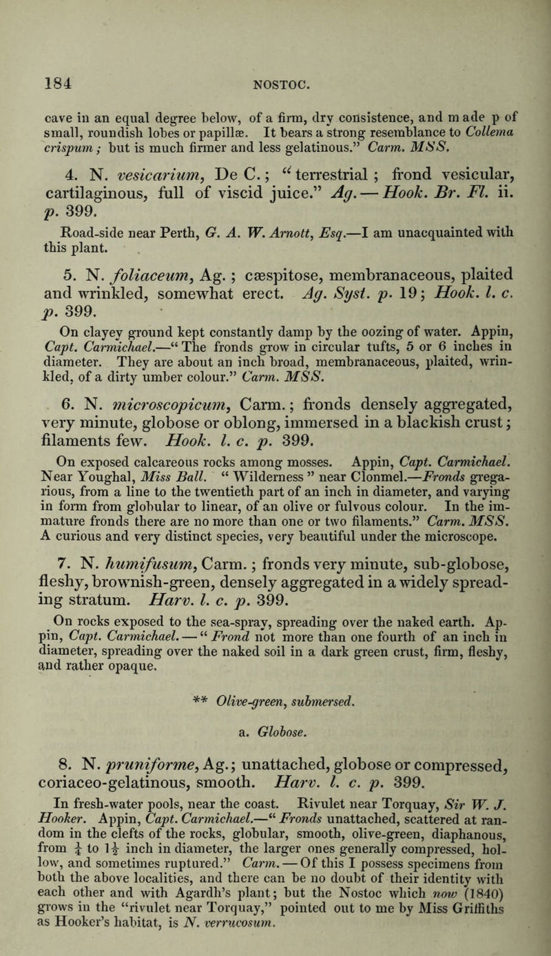 cave in an equal degree below, of a firm, dry consistence, and m ade p of small, roundish lobes or papillae. It bears a strong resemblance to Collema crispum; but is much firmer and less gelatinous.” Carm. MSS, 4. N. vesicarium, De C.; “ terrestrial ; frond vesicular, cartilaginous, full of viscid juice.” Ag.— Hook. Br. FI. ii. p. 399. Road-side near Perth, G. A. W. Amott, Esq.—I am unacquainted with this plant. 5. N. foliaceum, Ag. ; caespitose, membranaceous, plaited and wrinkled, somewhat erect. Ag. Sysi. p. 19; Hook. 1. c. p. 399. On clayey ground kept constantly damp by the oozing of water. Appin, Capt. Carmichael.—“ The fronds grow in circular tufts, 5 or 6 inches in diameter. They are about an inch broad, membranaceous, plaited, wrin- kled, of a dirty umber colour.” Carm. MSS. 6. N. ?nicroscopicum, Carm.; fronds densely aggregated, very minute, globose or oblong, immersed in a blackish crust; filaments few. Hook. 1. c. p. 399. On exposed calcareous rocks among mosses. Appin, Capt. Carmichael. Near Youghal, Miss Ball. “ Wilderness ” near Clonmel.—Fronds grega- rious, from a line to the twentieth part of an inch in diameter, and varying in form from globular to linear, of an olive or fulvous colour. In the im- mature fronds there are no more than one or two filaments.” Carm. MSS. A curious and very distinct species, very beautiful under the microscope. 7. N. humifusum, Carm.; fronds very minute, sub-globose, fleshy, brownish-green, densely aggregated in a widely spread- ing stratum. Harv. 1. c. p. 399. On rocks exposed to the sea-spray, spreading over the naked earth. Ap- pin, Capt. Carmichael. — “ Frond not more than one fourth of an inch in diameter, spreading over the naked soil in a dark green crust, firm, fleshy, and rather opaque. ** Olive-green, submersed. a. Globose. 8. N. pruniforme, Ag.; unattached, globose or compressed, coriaceo-gelatinous, smooth. Harv. 1. c. p. 399. In fresh-water pools, near the coast. Rivulet near Torquay, Sir W. J. Hooker. Appin, Capt. Carmichael.—“ Fronds unattached, scattered at ran- dom in the clefts of the rocks, globular, smooth, olive-green, diaphanous, from £ to 1^ inch in diameter, the larger ones generally compressed, hol- low, and sometimes ruptured.” Carm. — Of this I possess specimens from both the above localities, and there can be no doubt of their identity with each other and with Agardh’s plant; but the Nostoc which now (1840) grows iu the “rivulet near Torquay,” pointed out to me by Miss Griffiths as Hooker’s habitat, is N. verrucosum.