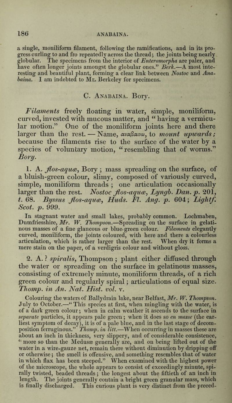 a single, moniliform filament, following the ramifications, and in its pro- gress curling to and fro repeatedly across the thread; the joints being nearly globular. The specimens from the interior of Enteromorpha are paler, and have often longer joints amongst the globular ones.” Berk.—A most inte- resting and beautiful plant, forming a clear link between Nostoc and Ana- baina. I am indebted to Mr, Berkeley for specimens. C. Anabaina. Bory. Filaments freely floating in water, simple, moniliform, curved, invested with mucous matter, and “ having a vermicu- lar motion.” One of the moniliform joints here and there larger than the rest. — Name, avaficavu, to mount upwards; because the filaments rise to the surface of the water by a species of voluntary motion, “resembling that of worms.” Bory. 1. A. flos-aquw, Bory ; mass spreading on the surface, of a bluish-green colour, slimy, composed of variously curved, simple, moniliform threads ; one articulation occasionally larger than the rest. Nostoc jlos-aquce, Lyngb. Dan. p. 201, t. 68. Byssus flos-aquw, Huds. FI. Ang. p. 604; Light/. Scot. p. 999. In stagnant water and small lakes, probably common. Lochmaben, Dumfriesshire, Mr. W’ Thompson.—Spreading on the surface in gelati- nous masses of a fine glaucous or blue-green colour. Filaments elegantly curved, moniliform, the joints coloured, with here and there a colourless articulation, which is rather larger than the rest. When dry it forms a mere stain on the paper, of a verdigris colour and without gloss. 2. A. ? spiralis, Thompson ; plant either diffused through the water or spreading on the surface in gelatinous masses, consisting of extremely minute, moniliform threads, of a rich green colour and regularly spiral; articulations of equal size. Thomp. in An. Nat. Hist. vol. v. Colouring the waters of Ballydrain lake, near Belfast, Mr. W. Thompson. July to October.—“ This species at first, when mingling with the water, is of a dark green colour; when in calm weather it ascends to the surface in separate particles, it appears pale green; when it does so en masse (the ear- liest symptom of decay), it is of a pale blue, and in the last stage of decom- position ferruginous.” Thomp. in litt.—When occurring in masses these are about an inch in thickness, very slippery, and of considerable consistence, “ more so than the Medusae generally are, and on being lifted out of the water in a wire-gauze net, remain there without diminution by dripping off or otherwise; the smell is offensive, and something resembles that of water in which flax has been steeped.” When examined with the highest power of the microscope, the whole appears to consist of exceedingly minute, spi- rally twisted, beaded threads; the longest about the fiftieth of an inch in length. The joints generally contain a bright green granular mass, which is finally discharged. This curious plant is very distinct from the preced-