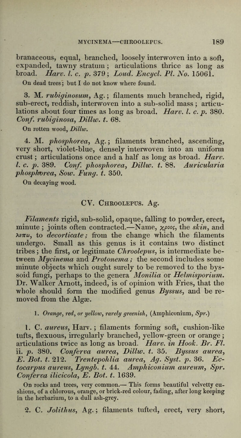 branaceous, equal, branched, loosely interwoven into a soft, expanded, tawny stratum; articulations thrice as long as broad. Harv. 1. c. p. 379; Loud. Encycl. PI. No. 15061. On dead trees’; but I do not know where found. 3. M. rubiginosum, Ag.; filaments much branched, rigid, sub-erect, reddish, interwoven into a sub-solid mass; articu- lations about four times as long as broad. Harv. 1. c. p. 380. Conf. rubiginosa, Dillw. t. 68. On rotten wood, Dillw. 4. M. phosphorea, Ag.; filaments branched, ascending, very short, violet-blue, densely interwoven into an uniform crust; articulations once and a half as long as broad. Harv. 1. c. p. 389. Conf. phosphorea, Dillw. t. 88. Auricularia phospJwrea, Sow. Fung. t. 350. On decaying wood. CV. Chroolepus. Ag. Filaments rigid, sub-solid, opaque, falling to powder, erect, minute ; joints often contracted.—Name, xpoo$, the skin, and hE7ru, to decorticate; from the change which the filaments undergo. Small as this genus is it contains two distinct tribes; the first, or legitimate Chroolepus, is intermediate be- tween Mycinema and Protonema; the second includes some minute objects which ought surely to be removed to the bys- soid fungi, perhaps to the genera Monilia or Helmisporium. Dr. Walker Arnott, indeed, is of opinion with Fries, that the whole should form the modified genus Byssus, and be re- moved from the Algae. 1. Orange, red, or yellow, rarely greenish, (Amphiconium, Spr.) 1. C. aureus, Harv.; filaments forming soft, cushion-like tufts, flexuous, irregularly branched, yellow-green or orange ; articulations twice as long as broad. Harv. in Hook. Br. FI. ii. p. 380. Conferva aurea, Dillw. t. 35. Byssus aurea, E. Bot. t. 212. Trentepohlia aurea, Ag. Syst. p. 36. Ec- tocarpus aureus, Lyngb. t. 44. Amphiconium aureum, Spr. Conferva ilicicola, E. Bot. t. 1639. On rocks and trees, very common.— This forms beautiful velvetty cu- shions, of a chlorous, orange, or brick-red colour, fading, after long keeping in the herbarium, to a dull ash-grey. 2. C. Jolithus, Ag.; filaments tufted, erect, very short,