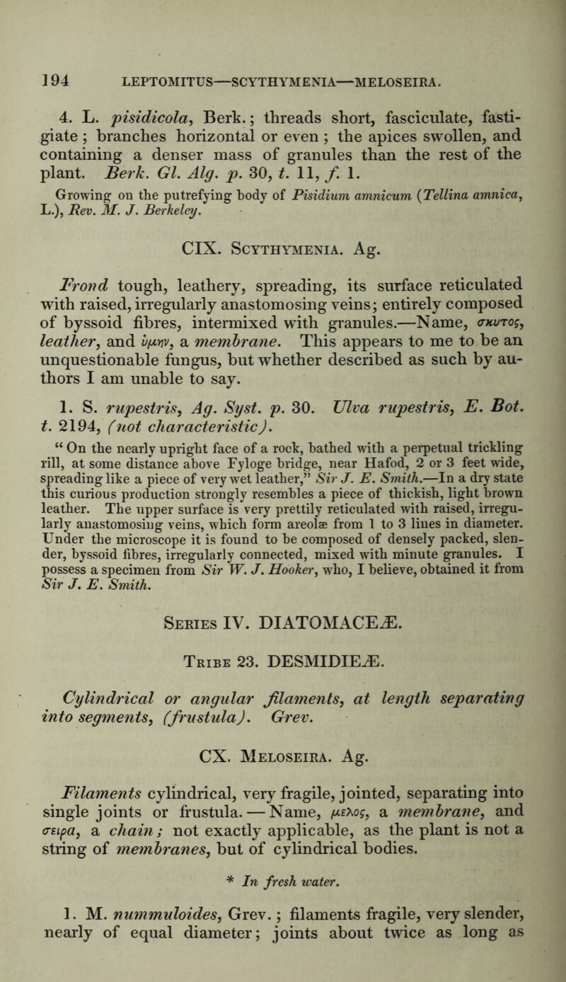 4. L. pisidicola, Berk.; threads short, fasciculate, fasti- giate ; branches horizontal or even ; the apices swollen, and containing a denser mass of granules than the rest of the plant. Berk. Gl. Alg. p. 30, t. 11, f. 1. Growing on the putrefying body of Pisidium amnicum (Tellina amnica, L.), Rev. M. J. Berkeley. CIX. SCYTHYMENIA. Ag. Frond tough, leathery, spreading, its surface reticulated with raised, irregularly anastomosing veins; entirely composed of byssoid fibres, intermixed with granules.—Name, <thutos, leather, and vim, a membrane. This appears to me to be an unquestionable fiingus, but whether described as such by au- thors I am unable to say. 1. S. rupestris, Ag. Syst. p. 30. Ulva rupestris, E. Bot. t. 2194, (not characteristic). “ On the nearly upright face of a rock, bathed with a perpetual trickling rill, at some distance above Fyloge bridge, near Hafod, 2 or 3 feet wide, spreading like a piece of very wet leather,” Sir J. E. Smith.—In a dry state this curious production strongly resembles a piece of thickish, light brown leather. The upper surface is very prettily reticulated with raised, irregu- larly anastomosiug veins, which form areolae from 1 to 3 lines in diameter. Under the microscope it is found to he composed of densely packed, slen- der, byssoid fibres, irregularly connected, mixed with minute granules. I possess a specimen from Sir W. J. Hooker, who, I believe, obtained it from Sir J. E. Smith. Series IV. DIATOMACEJE. Tribe 23. DESMIDFELE. Cylindrical or angular filaments, at length separating into segments, (frustula). Grev. CX. Meloseira. Ag. Filaments cylindrical, very fragile, jointed, separating into single joints or frustula. — Name, a membrane, and aetpa, a chain; not exactly applicable, as the plant is not a string of membranes, but of cylindrical bodies. * In fresh water. 1. M. nummuloides, Grev.; filaments fragile, very slender, nearly of equal diameter; joints about twice as long as