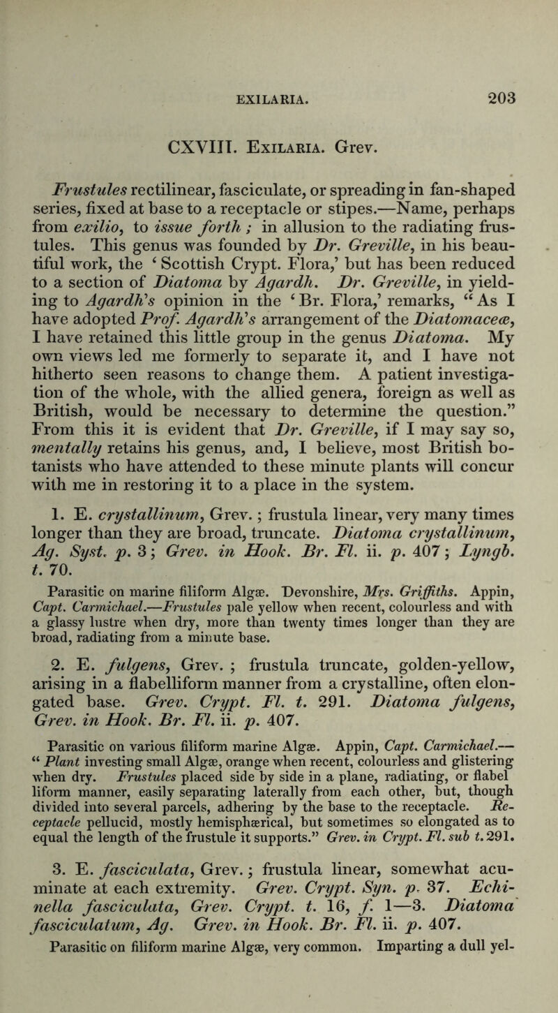 CXVIII. Exilaria. Grev. Frustules rectilinear, fasciculate, or spreading in fan-shaped series, fixed at base to a receptacle or stipes.—Name, perhaps from exilio, to issue forth ; in allusion to the radiating frus- tules. This genus was founded by Dr. Greville, in his beau- tiful work, the 3 4 Scottish Crypt. Flora,’ but has been reduced to a section of Diatoma by Agardli. Dr. Greville, in yield- ing to Agardli1 s opinion in the 4 Br. Flora,’ remarks, 44 As I have adopted Prof. Agardlis arrangement of the Diatomacere, I have retained this little group in the genus Diatoma. My own views led me formerly to separate it, and I have not hitherto seen reasons to change them. A patient investiga- tion of the whole, with the allied genera, foreign as well as British, would be necessary to determine the question.” From this it is evident that Dr. Greville, if I may say so, mentally retains his genus, and, I believe, most British bo- tanists who have attended to these minute plants will concur with me in restoring it to a place in the system. 1. E. crystallinum, Grev.; frustula linear, very many times longer than they are broad, truncate. Diatoma crystallinum, Ag. Syst. p. 3; Grev. in Hook. Br. FI. ii. p. 407; Lyngh. t. 70. Parasitic on marine filiform Algae. Devonshire, Mrs. Griffiths. Appin, Capt. Carmichael.—Frustules pale yellow when recent, colourless and with a glassy lustre when dry, more than twenty times longer than they are broad, radiating from a minute base. 2. E. fulgens, Grev. ; frustula truncate, golden-yellow, arising in a flabelliform manner from a crystalline, often elon- gated base. Grev. Crypt. FI. t. 291. Diatoma fulgens, Grev. in Hook. Br. FI. ii. p. 407. Parasitic on various filiform marine Algae. Appin, Capt. Carmichael.— “ Plant investing small Algae, orange when recent, colourless and glistering when dry. Frustules placed side by side in a plane, radiating, or flabel liform manner, easily separating laterally from each other, but, though divided into several parcels, adhering by the base to the receptacle. Re- ceptacle pellucid, mostly hemisphaerical, but sometimes so elongated as to equal the length of the frustule it supports.” Grev. in Crypt. FI. sub t. 291. 3. E. fasciculata, Grev.; frustula linear, somewhat acu- minate at each extremity. Grev. Crypt. Syn. p. 37. Echi- nella fasciculata, Grev. Crypt, t. 16, f. 1—3. Diatoma fasciculatum, Ag. Grev. in Hook. Br. FI. ii. p. 407. Parasitic on filiform marine Algae, very common. Imparting a dull yel-