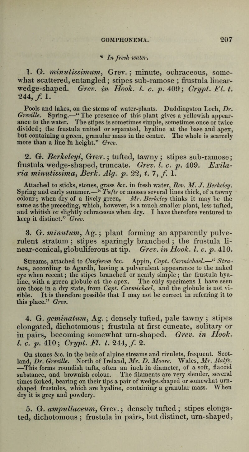 * In fresh water. 1. G. minutissimum, Grey.; minute, ochraceous, some- what scattered, entangled; stipes sub-ramose ; frustula linear- wedge-shaped. Grev. in Hook. 1. c. p. 409; Crypt. FI. t. 244,/ 1. Pools and lakes, on the stems of water-plants. Duddingston Loch, Dr. Greville. Spring.—“ The presence of this plant gives a yellowish appear- ance to the water. The stipes is sometimes simple, sometimes once or twice divided; the frustula united or separated, hyaline at the base and apex, but containing a green, granular mass in the centre. The whole is scarcely more than a line fti height.” Grev. 2. G. Berkeleyi, Grey.; tufted, tawny; stipes sub-ramose; frustula wedge-shaped, truncate. Grev. 1. c. p. 409. Exila- ria minutissima, Berk. Alg. p. 22, t. 7, f. 1. Attached to sticks, stones, grass &c. in fresh water, Rev. M. J. Berkeley. Spring and early summer.—“ Tufts or masses several lines thick, of a tawny colour; when dry of a lively green, Mr. Berkeley thinks it may be the same as the preceding, which, however, is a much smaller plant, less tufted, and whitish or slightly ochraceous when dry. I have therefore ventured to keep it distinct.” Grev. 3. G. minutum, Ag.; plant forming an apparently pulve- rulent stratum ; stipes sparingly branched ; the frustula li- near-conical, globuliferous at tip. Grev. in Hook. 1. c. p. 410. Streams, attached to Confervoe &c. Appin, Capt. Carmichael.—“ Stra- tum, according to Agardh, having a pulverulent appearance to the naked eye when recent; the stipes branched or nearly simple; the frustula hya- line, with a green globule at the apex. The only specimens I have seen are those in a dry state, from Capt. Carmichael, and the globule is not vi- sible. It is therefore possible that I may not be correct in referring it to this place.” Grev. 4. G. geminatum, Ag. ; densely tufted, pale tawny ; stipes elongated, dichotomous ; frustula at first cuneate, solitary or in pairs, becoming somewhat um-shaped. Grev. in Hook. 1. c. p. 410; Crypt. FI. t. 244, /. 2. On stones &c. in the beds of alpine streams and rivulets, frequent. Scot- land, Dr. Greville. North of Ireland, Mr. D. Moore. Wales, Mr. Ralfs. —This forms roundish tufts, often an inch in diameter, of a soft, flaccid substance, and brownish colour. The filaments are very slender, several times forked, bearing on their tips a pair of wedge-shaped or somewhat urn- shaped frustules, which are hyaline, containing a granular mass. When dry it is grey and powdery. 5. G. ampullaceum, Grev.; densely tufted ; stipes elonga- ted, dichotomous ; frustula in pairs, but distinct, um-shaped?