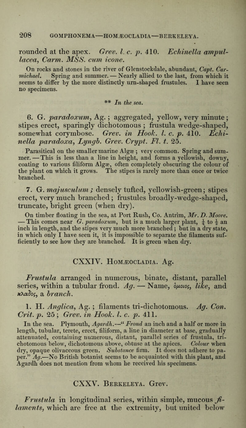 rounded at the apex. Grev. 1. c. p. 410. Echinella ampul- lacea, Carm. MSS. cum icone. On rocks and stones in the river of Glenstockdale, abundant, Capt. Car- michael. Spring and summer. — Nearly allied to the last, from which it seems to differ by the more distinctly urn-shaped frustules. I have seen no specimens. ** In the sea. 6. G. paradoxum, Ag.; aggregated, yellow, very minute; stipes erect, sparingly dichotomous ; frustula wedge-shaped, somewhat corymbose. Grev. in Hook. 1. c. p. 410. Echi- nella paradoxa, Lyngh. Grev. Crypt. FI. t. 25. Parasitical on the smaller marine Algae; very common. Spring and sum- mer.— This is less than a line in height, and forms a yellowish, downy, coating to various filiform Algae, often completely obscuring the colour of the plant on which it grows. The stipes is rarely more than once or twice branched. 7. G. majuscnlum ; densely tufted, yellowish-green; stipes erect, very much branched; frustules broadly-wedge-shaped, truncate, bright green (when dry). On timber floating in the sea, at Port Rush, Co. Antrim, Mr. D. Moore. — This comes near G. paradoxum, but is a much larger plant, ^ to ^ an inch in length, and the stipes very much more branched; but in a dry state, in which only I have seen it, it is impossible to separate the filaments suf- ficiently to see how they are branched. It is green when dry. CXXIV. Hoivleocladia. Ag. Frustula arranged in numerous, binate, distant, parallel series, within a tubular frond. Ag. — Name, o/xoiog, like, and xtotdog, a branch. 1. H. Anglica, Ag. ; filaments tri-dichotomous. Ag. Con. Grit. p. 25; Grev. in Hook. 1. c. p. 411. In the sea. Plymouth, Agardh.—“ Frond an inch and a half or more in length, tubular, terete, erect, filiform, a line in diameter at base, gradually attenuated, containing numerous, distant, parallel series of frustula, tri- chotomous below, dichotomous above, obtuse at the apices. Colour when dry, opaque olivaceous green. Substance firm. It does not adhere to pa- per.” Ag.—No British botanist seems to be acquainted with this plant, and Agardh does not mention from whom he received his specimens. CXXV. Berkeleya. Grev. Frustula in longitudinal series, within simple, mucous fi- laments, which are free at the extremity, but united below