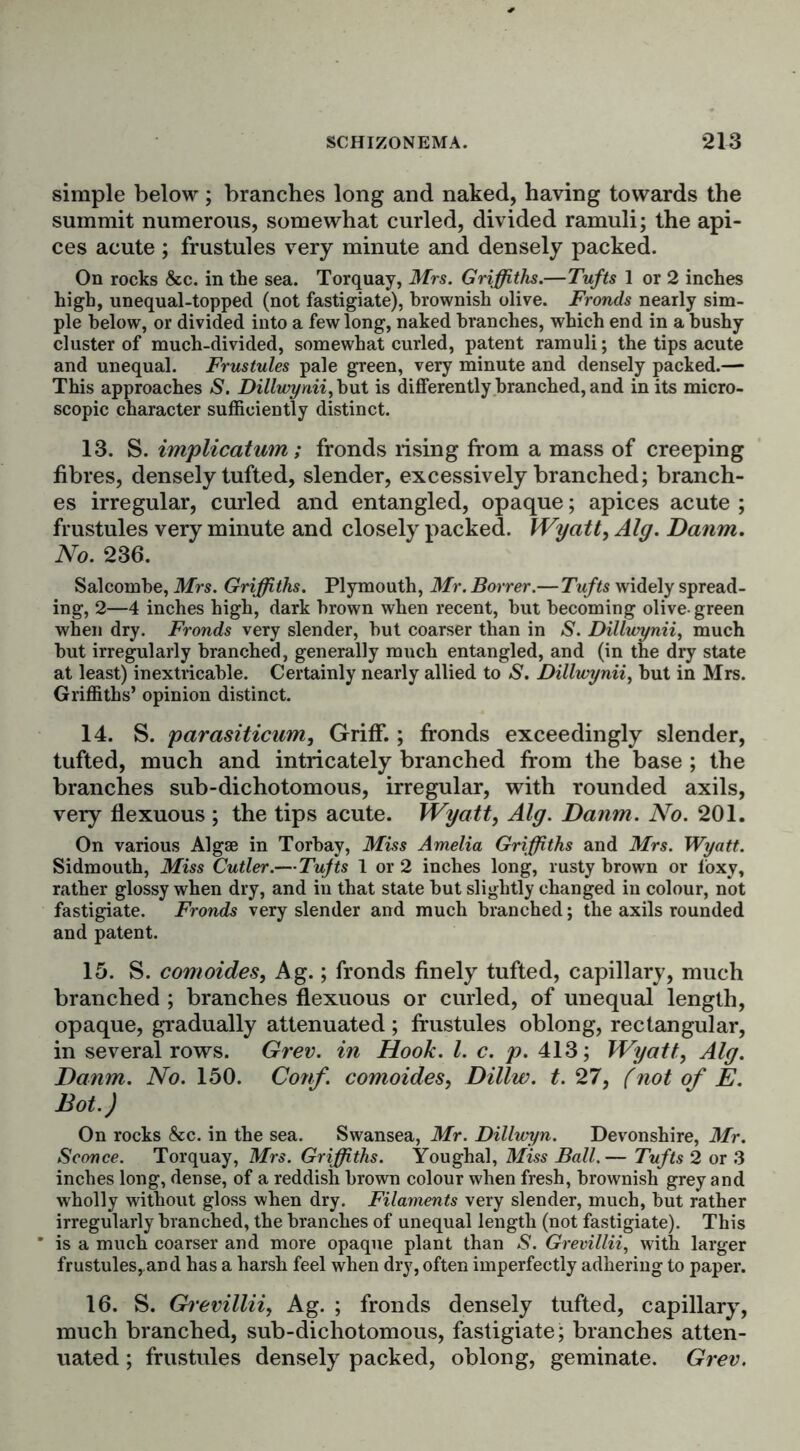 simple below; branches long and naked, having towards the summit numerous, somewhat curled, divided ramuli; the api- ces acute ; frustules very minute and densely packed. On rocks &c. in the sea. Torquay, Mrs. Griffiths.—Tufts 1 or 2 inches high, unequal-topped (not fastigiate), brownish olive. Fronds nearly sim- ple below, or divided into a few long, naked branches, which end in a bushy cluster of much-divided, somewhat curled, patent ramuli; the tips acute and unequal. Frustules pale green, very minute and densely packed.— This approaches S. Dillwynii, hut is differently branched, and in its micro- scopic character sufficiently distinct. 13. S. implication; fronds rising from a mass of creeping fibres, densely tufted, slender, excessively branched; branch- es irregular, curled and entangled, opaque; apices acute ; frustules very minute and closely packed. Wyatt, Alg. Danm. No. 236. Salcombe, Mrs. Griffiths. Plymouth, Mr. Borrer.—Tufts widely spread- ing, 2—4 inches high, dark brown when recent, hut becoming olive-green when dry. Fronds very slender, hut coarser than in S. Dillwynii, much hut irregularly branched, generally much entangled, and (in the dry state at least) inextricable. Certainly nearly allied to S. Dillwynii, hut in Mrs. Griffiths’ opinion distinct. 14. S. parasiticum, Griff.; fronds exceedingly slender, tufted, much and intricately branched from the base ; the branches sub-dichotomous, irregular, with rounded axils, very flexuous ; the tips acute. Wyatt, Alg. Danm. No. 201. On various Algae in Torbay, Miss Amelia Griffiths and Mrs. Wyatt. Sidmouth, Miss Cutler.—Tufts 1 or 2 inches long, rusty brown or foxy, rather glossy when dry, and in that state but slightly changed in colour, not fastigiate. Fronds very slender and much branched; the axils rounded and patent. 15. S. comoides, Ag.; fronds finely tufted, capillary, much branched ; branches flexuous or curled, of unequal length, opaque, gradually attenuated ; frustules oblong, rectangular, in several rows. Grev. in Hook. 1. c. p. 413; Wyatt, Alg. Danm. No. 150. Conf. comoides, Dillw. t. 27, (not of E. Dot.) On rocks &c. in the sea. Swansea, Mr. Dillwyn. Devonshire, Mr. Sconce. Torquay, Mrs. Griffiths. Youghal, Miss Ball.— Tufts 2 or 3 inches long, dense, of a reddish brown colour when fresh, brownish grey and wholly without gloss when dry. Filaments very slender, much, but rather irregularly branched, the branches of unequal length (not fastigiate). This ’ is a much coarser and more opaque plant than S. Grevillii, with larger frustules, and has a harsh feel when dry, often imperfectly adhering to paper. 16. S. Grevillii, Ag. ; fronds densely tufted, capillary, much branched, sub-dichotomous, fastigiate; branches atten- uated ; frustules densely packed, oblong, geminate. Grev.