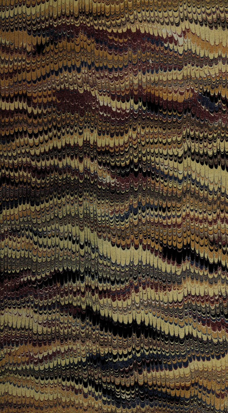 Y*,*; LJgBSm BBfPw^UM- r? Mp^rHn ?'C **Y i i ft jWjJr M- ™4jJU^SwSS :Sk yjLLig^W^^ >r vj