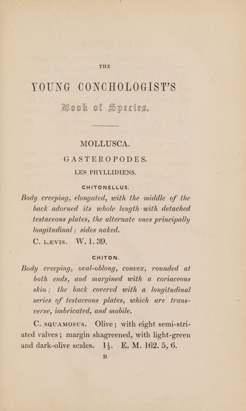THE YOUNG CONCHOLOGISTS Mook of Snectesg, MOLLUSCA. GASTEROPODES. LES PHYLLIDIENS. CHITONELLUS. Body creeping, elongated, with the middle of the back adorned its whole length: with detached testaceous plates, the alternate ones principally longitudinal ; sides naked. Cu nmvis.. W. 1:39. CHITON. Body creeping, oval-oblong, convex, rounded at both ends, and margined with a coriaceous skin; the back covered with a longitudinal series of testaceous plates, which are trans- verse, imbricated, and mobile. C. sauamosvus. Olive; with eight semi-stri- ated valves; margin shagreened, with light-green and dark-olive scales. 14. KE. M. 162. 5, 6. B