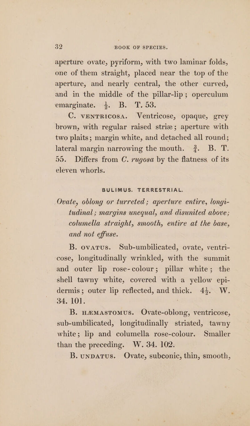 aperture ovate, pyriform, with two laminar folds, one of them straight, placed near the top of the aperture, and nearly central, the other curved, and in the middle of the pillar-lip; operculum emarginatesss(* Bodine. C. vENTRICOSA. Ventricose, opaque, grey brown, with regular raised striz; aperture with two plaits; margin white, and detached all round; lateral margin narrowing the mouth. #7. B. T. 55. Differs from C. rugosa by the flatness of its eleven whorls. BULIMUS. TERRESTRIAL. Ovate, oblong or turreted ; aperture entire, lonyi- tudinal ; margins unequal, and disunited above; columella straight, smooth, entire at the base, and not effuse. B. ovatus. Sub-umbilicated, ovate, ventri- cose, longitudinally wrinkled, with the summit and outer lip rose-colour; pillar white; the shell tawny white, covered with a yellow epi- dermis; outer lip reflected, and thick. 44. W. 34, 101. B. pamastTomus. Ovate-oblong, ventricose, sub-umbilicated, longitudinally striated, tawny white; lip and columella rose-colour. Smaller than the preceding. W. 34. 102. B. unpDATus. Ovate, subconic, thin, smooth,