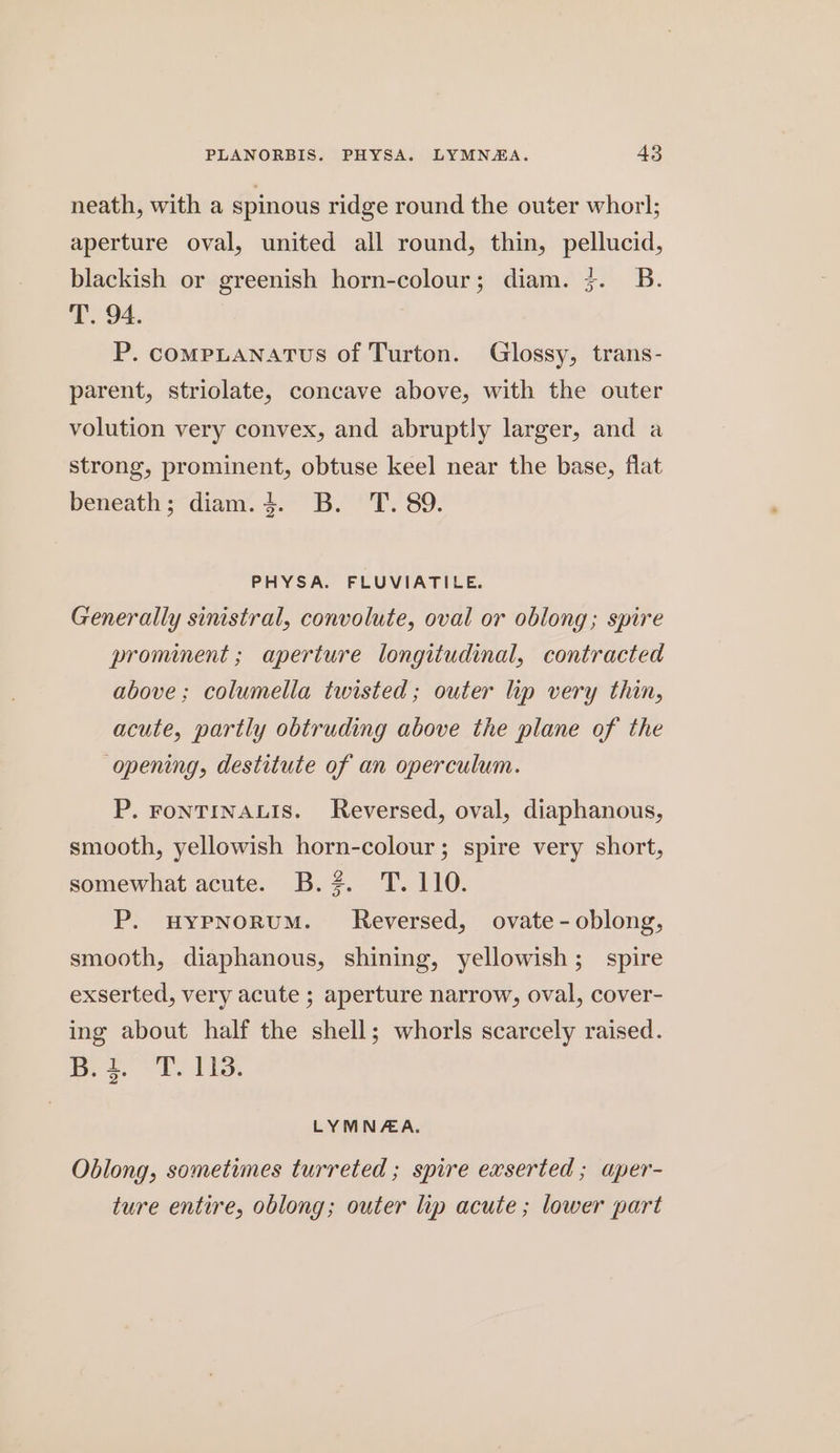 neath, with a spinous ridge round the outer whorl; aperture oval, united all round, thin, pellucid, blackish or greenish horn-colour; diam. 7. B. T. 94. P. compLANnatus of Turton. Glossy, trans- parent, striolate, concave above, with the outer volution very convex, and abruptly larger, and a strong, prominent, obtuse keel near the base, flat beneath; diam. 4. B. T. 89. PHYSA. FLUVIATILE. Generally sinistral, convolute, oval or oblong; spire prominent ; aperture longitudinal, contracted above; columella twisted ; outer lip very thin, acute, partly obtruding above the plane of the opening, destitute of an operculum. P. FONTINALIS. Reversed, oval, diaphanous, smooth, yellowish horn-colour; spire very short, somewhat acute. B.#. T. 110. P. uyPNoRUM. Reversed, ovate - oblong, smooth, diaphanous, shining, yellowish; spire exserted, very acute ; aperture narrow, oval, cover- ing about half the shell; whorls scarcely raised. Bes. ~ Es io 2 LYMNAA. Oblong, sometimes turreted ; spire exserted ; aper- ture entire, oblong; outer lip acute ; lower part