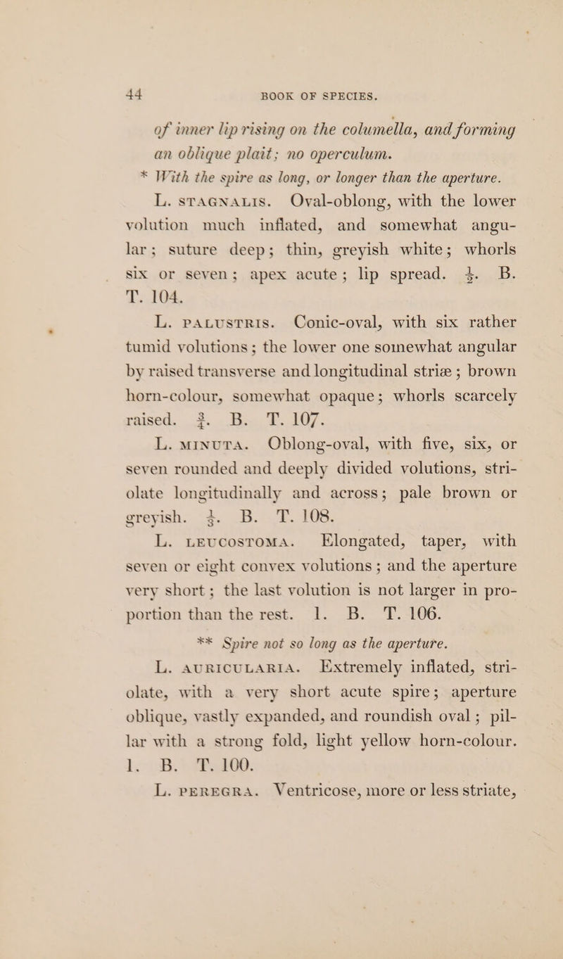 of inner lip rising on the columella, and forming an oblique plait; no operculum. * With the spire as long, or longer than the aperture. L. stAGNALIS. Oval-oblong, with the lower volution much inflated, and somewhat angu- lar; suture deep; thin, greyish white; whorls SIX or seven; apex acute; lip spread. 4. B. T. 104. L. pAvtustris. Conic-oval, with six rather tumid volutions ; the lower one somewhat angular by raised transverse and longitudinal striz ; brown horn-colour, somewhat opaque; whorls scarcely raised. 3. B. T. 107. L. minuta. Oblong-oval, with five, six, or seven rounded and deeply divided volutions, stri- olate longitudinally and across; pale brown or greyish. 2. B. T. 108. L. tevucostoma. Elongated, taper, with seven or eight convex volutions ; and the aperture very short; the last volution is not larger in pro- portion than the rest. 1. B. T. 106. ** Spire not so long as the aperture. L. AURICULARIA. Extremely inflated, stri- olate, with a very short acute spire; aperture oblique, vastly expanded, and roundish oval; pil- lar with a strong fold, light yellow horn-colour. deo Ry ERO. L. PEREGRA. Ventricose, more or less striate,