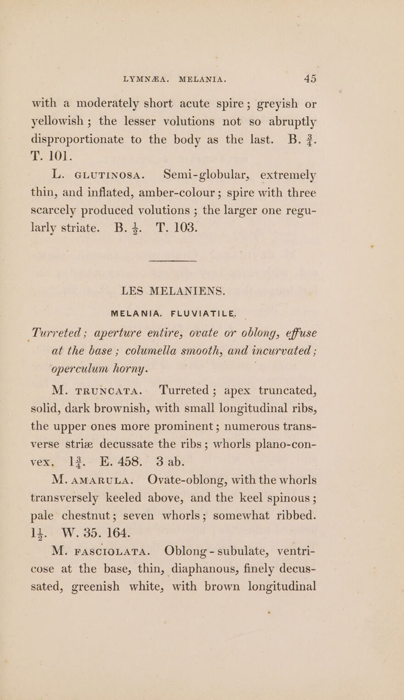 with a moderately short acute spire; greyish or yellowish ; the lesser volutions not so abruptly disproportionate to the body as the last. B. 2. TO. L. GuuTinosa. Semi-globular, extremely thin, and inflated, amber-colour ; spire with three scarcely produced volutions ; the larger one regu- larly striate. B.4. T. 103. LES MELANIENS. MELANIA. FLUVIATILE. | Turreted ; aperture entire, ovate or oblong, effuse at the base; columella smooth, and incurvated ; operculum horny. . M. truncata. Turreted; apex truncated, solid, dark brownish, with small longitudinal ribs, the upper ones more prominent ; numerous trans- verse striz decussate the ribs ; whorls plano-con- vex, 13. EK. 458. 3 ab. M.aMARULA. Ovate-oblong, with the whorls transversely keeled above, and the keel spinous ; pale chestnut; seven whorls; somewhat ribbed. li. W. 35. 164. M. rascionara. Oblong-subulate, ventri- cose at the base, thin, diaphanous, finely decus- sated, greenish white, with brown longitudinal