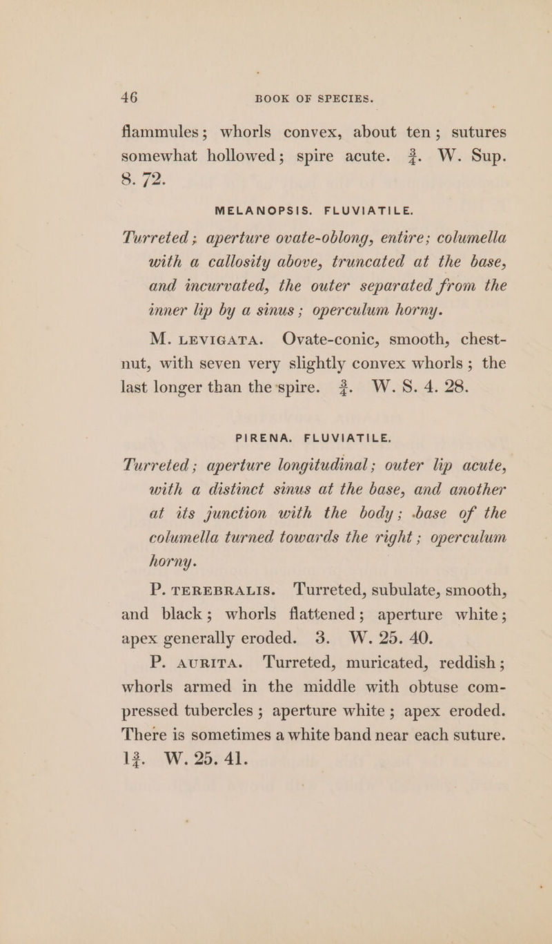 flammules; whorls convex, about ten; sutures somewhat hollowed; spire acute. ?#. W. Sup. S: (2. MELANOPSIS. FLUVIATILE. Turreted ; aperture ovate-oblong, entire; columella with a callosity above, truncated at the base, and wmcurvated, the outer separated from the anner lip by a sinus ; operculum horny. M. LEvIGATA. Ovate-conic, smooth, chest- nut, with seven very slightly convex whorls; the last longer than thespire. #2. W.S. 4. 28. PIRENA. FLUVIATILE. Turreted ; aperture longitudinal; outer lip acute, with a distinct sinus at the base, and another at its junction with the body; .base of the columella turned towards the right ; operculum horny. P. TEREBRALIS. Turreted, subulate, smooth, and black; whorls flattened ; aperture white; apex generally eroded. 3. W. 25. 40. P. aurniTA. Turreted, muricated, reddish ; whorls armed in the middle with obtuse com- pressed tubercles ; aperture white ; apex eroded. There is sometimes a white band near each suture. 13. W. 25. 41.