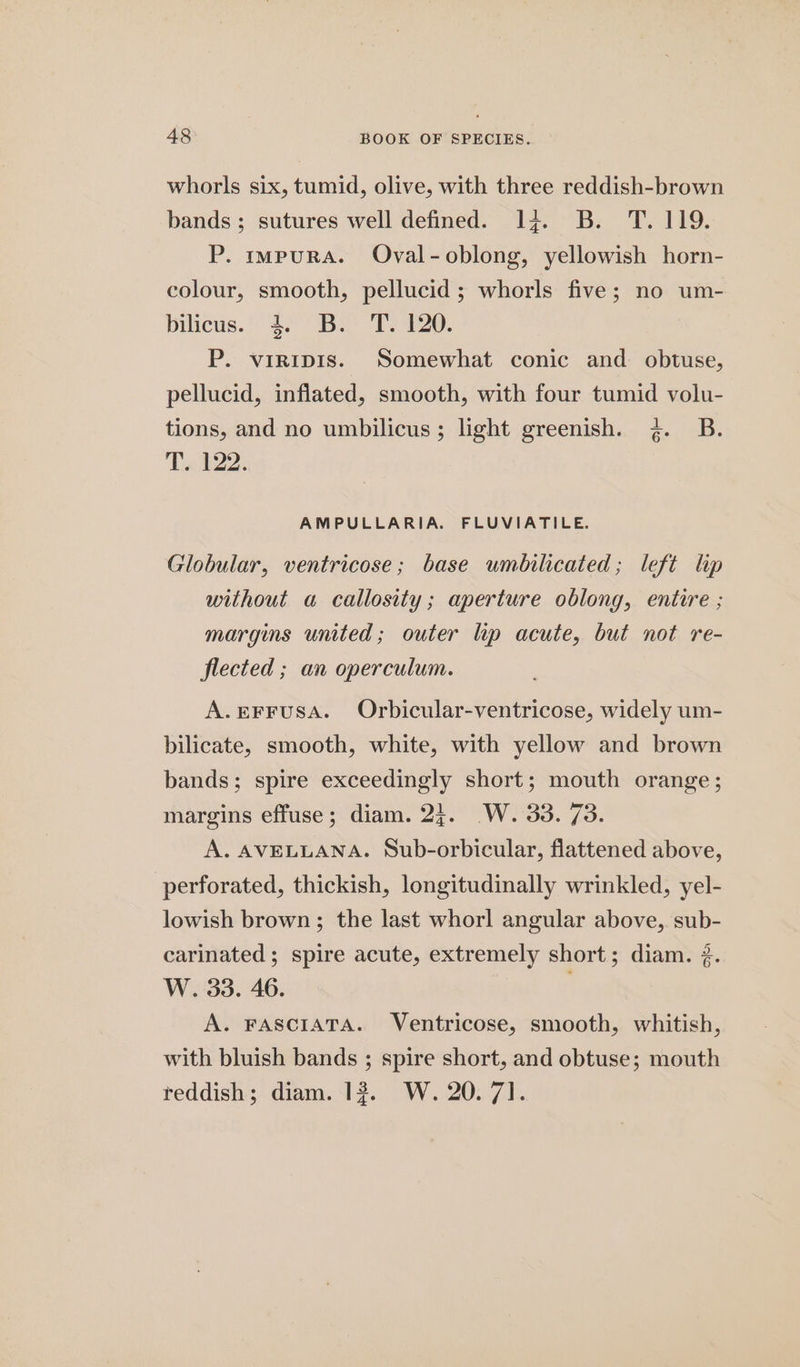 whorls six, tumid, olive, with three reddish-brown bands ; sutures well defined. 14. B. T. 119. P. mpurA. Oval-oblong, yellowish horn- colour, smooth, pellucid; whorls five; no um- bilicus. 3. B. T. 120. P. virnipis. Somewhat conic and obtuse, pellucid, inflated, smooth, with four tumid volu- tions, and no umbilicus; light greenish. %. B. Te 122. AMPULLARIA. FLUVIATILE. Globular, ventricose; base umbilicated; left lip without a callosity; aperture oblong, entire ; margins united; outer lip acute, but not re- flected ; an operculum. A.EFFUSA. Orbicular-ventricose, widely um- bilicate, smooth, white, with yellow and brown bands; spire exceedingly short; mouth orange; margins effuse; diam. 23. W. 33. 73. A. AVELLANA. Sub-orbicular, flattened above, perforated, thickish, longitudinally wrinkled, yel- lowish brown; the last whorl angular above, sub- carinated ; spire acute, extremely short; diam. 2. W. 33. 46. A. FASCIATA. Ventricose, smooth, whitish, with bluish bands ; spire short, and obtuse; mouth reddish; diam. 13. W. 20. 71.