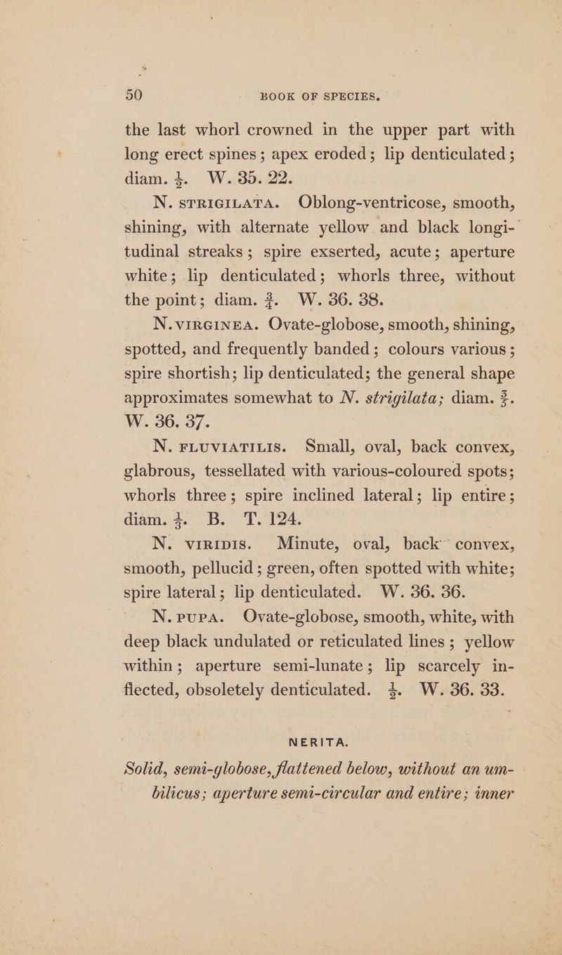 the last whorl crowned in the upper part with long erect spines ; apex eroded; lip denticulated ; diam. 3. W. 35. 22. N. sTRIGILATA. Oblong-ventricose, smooth, shining, with alternate yellow and black longi- tudinal streaks; spire exserted, acute; aperture white; lip denticulated; whorls three, without the point; diam. #7. W. 36. 38. N.vVIRGINEA. Ovate-globose, smooth, shining, spotted, and frequently banded; colours various ; spire shortish; lip denticulated; the general shape approximates somewhat to N. strigilata; diam. 2. W. 36. 37. N. FLUVIATILIS. Small, oval, back convex, glabrous, tessellated with various-coloured spots; whorls three; spire inclined lateral; lip entire ; dian. 4. DB. Tei N. viripis. Minute, oval, back convex, smooth, pellucid ; green, often spotted with white; spire lateral; lip denticulated. W. 36. 36. | N. pupa. Ovate-globose, smooth, white, with deep black undulated or reticulated lines ; yellow within; aperture semi-lunate; lip scarcely in- flected, obsoletely denticulated. 3. W. 36. 33. NERITA. Solid, semi-globose, flattened below, without an um- bilicus; aperture semi-circular and entire; inner