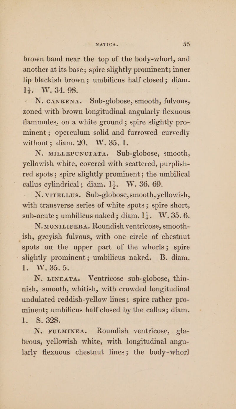 brown band near the top of the body-whorl, and another at its base; spire slightly prominent; inner lip blackish brown; umbilicus half closed; diam. 13. W. 34. 98. | N.CANRENA. Sub-globose, smooth, fulvous, zoned with brown longitudinal angularly flexuous flammules, on a white ground; spire slightly pro- minent ; operculum solid and furrowed curvedly without; diam. 20. W. 35. 1. N. MILLEPUNCTATA. Sub-globose, smooth, yellowish white, covered with scattered, purplish- red spots; spire slightly prominent; the umbilical callus cylindrical; diam. 14. W. 36. 69. N. VITELLUS. Sub-globose, smooth, yellowish, with transverse series of white spots; spire short, sub-acute; umbilicus naked; diam.1}. W. 35. 6. N.MONILIFERA. Roundish ventricose, smooth- _ish, greyish fulvous, with one circle of chestnut spots on the upper part of the whorls; spire - slightly prominent; umbilicus naked. 8B. diam. Ler WS. 3. N. uingaTA. Ventricose sub-globose, thin- nish, smooth, whitish, with crowded longitudinal undulated reddish-yellow lines; spire rather pro- minent; umbilicus half closed by the callus; diam. L. / 8.828. N. FULMINEA. Roundish ventricose, gla- brous, yellowish white, with longitudinal angu- larly flexuous chestnut lines; the body-whorl