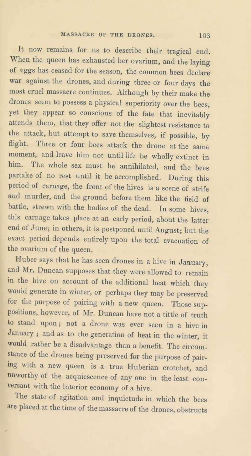 It now remains for us to describe their tragical end. When the queen has exhausted her ovarium, and the laying of eggs has ceased for the season, the common bees declare war against the drones, and during three or four days the most cruel massacre continues. Although by their make the drones seem to possess a physical superiority over the bees, yet they appear so conscious of the fate that inevitably attends them, that they offer not the slightest resistance to the attack, but attempt to save themselves, if possible, by flight. Three or four bees attack the drone at the same moment, and leave him not until life be wholly extinct in him. The whole sex must be annihilated, and the bees partake of no rest until it be accomplished. During this period of carnage, the front of the hives is a scene of strife and murder, and the ground before them like the field of battle, strewn with the bodies of the dead. In some hives, this carnage takes place at an early period, about the latter end of June; in others, it is postponed until August; but the exact period depends entirely upon the total evacuation of the ovarium of the queen. Hubei says that he has seen drones in a hive in January, and Mr. Duncan supposes that they were allowed to remain in the hive on account of the additional heat which they would generate in winter, or perhaps they may be preserved for the purpose of pairing with a new queen. Those sup- positions, however, of Mr. Duncan have not a tittle of truth to stand upon; not a drone was ever seen in a hive in January ; and as to the generation of heat in the winter, it would rather be a disadvantage than a benefit. The circum- stance of the drones being preserved for the purpose of pair- ing with a new queen is a true Huberian crotchet, and nnworthy of the acquiescence of any one in the least con- versant with the interior economy of a hive. The state of agitation and inquietude in which the bees are placed at the time of the massacre of the drones, obstructs
