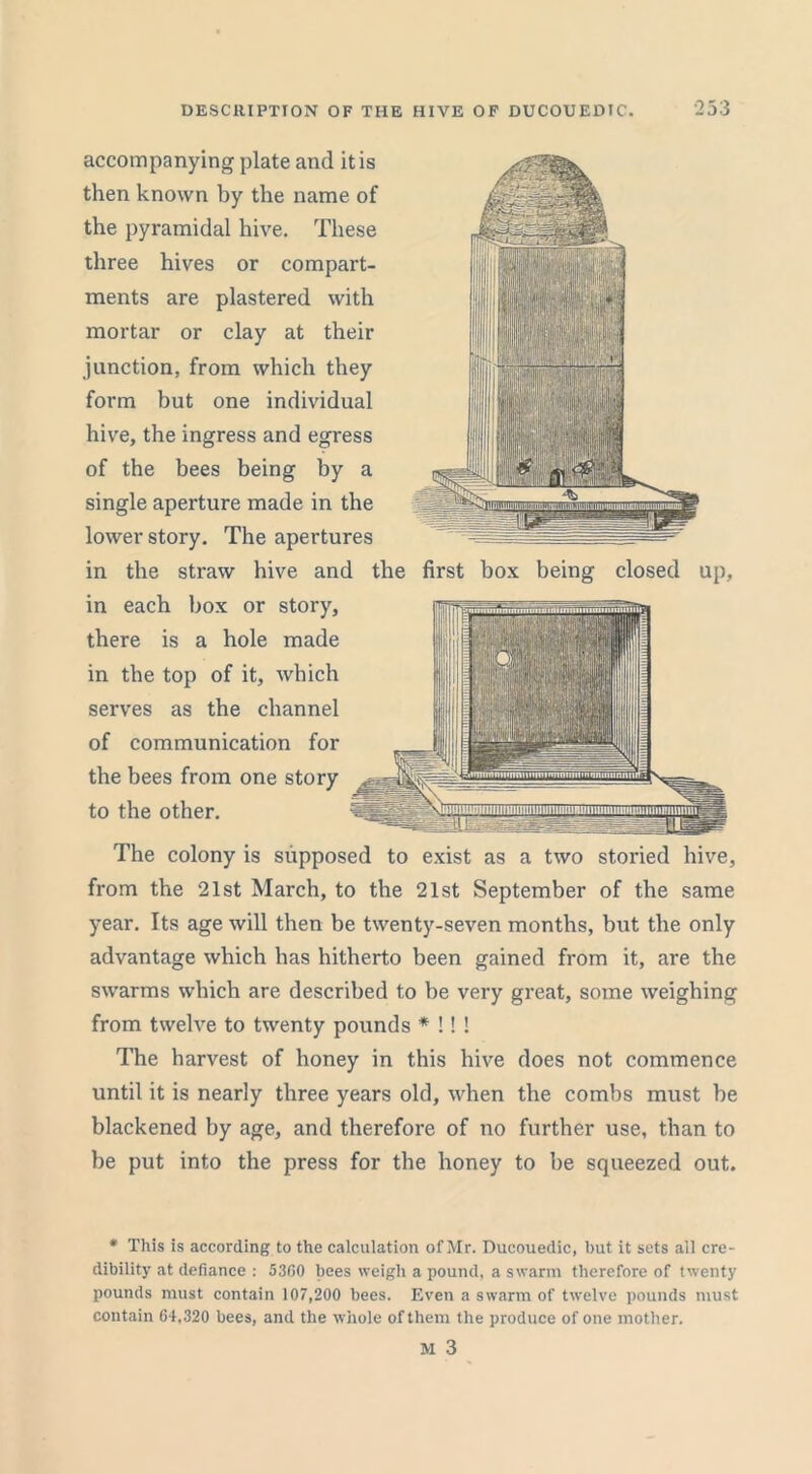 accompanying plate and it is then known by the name of the pyramidal hive. These three hives or compart- ments are plastered with mortar or clay at their junction, from which they form but one individual hive, the ingress and egress of the bees being by a single aperture made in the lower story. The apertures in the straw hive and the first box being closed up, in each box or story, there is a hole made in the top of it, which serves as the channel of communication for the bees from one story to the other. The colony is supposed to exist as a two storied hive, from the 21st March, to the 21st September of the same year. Its age will then be twenty-seven months, but the only advantage which has hitherto been gained from it, are the swarms which are described to be very great, some weighing from twelve to twenty pounds * !! ! The harvest of honey in this hive does not commence until it is nearly three years old, when the combs must be blackened by age, and therefore of no further use, than to be put into the press for the honey to be squeezed out. * This is according to the calculation of Mr. Ducouedic, but it sets all cre- dibility at defiance : 5360 bees weigh a pound, a swarm therefore of twenty pounds must contain 107,200 bees. Even a swarm of twelve pounds must contain 64,320 bees, and the whole of them the produce of one mother.