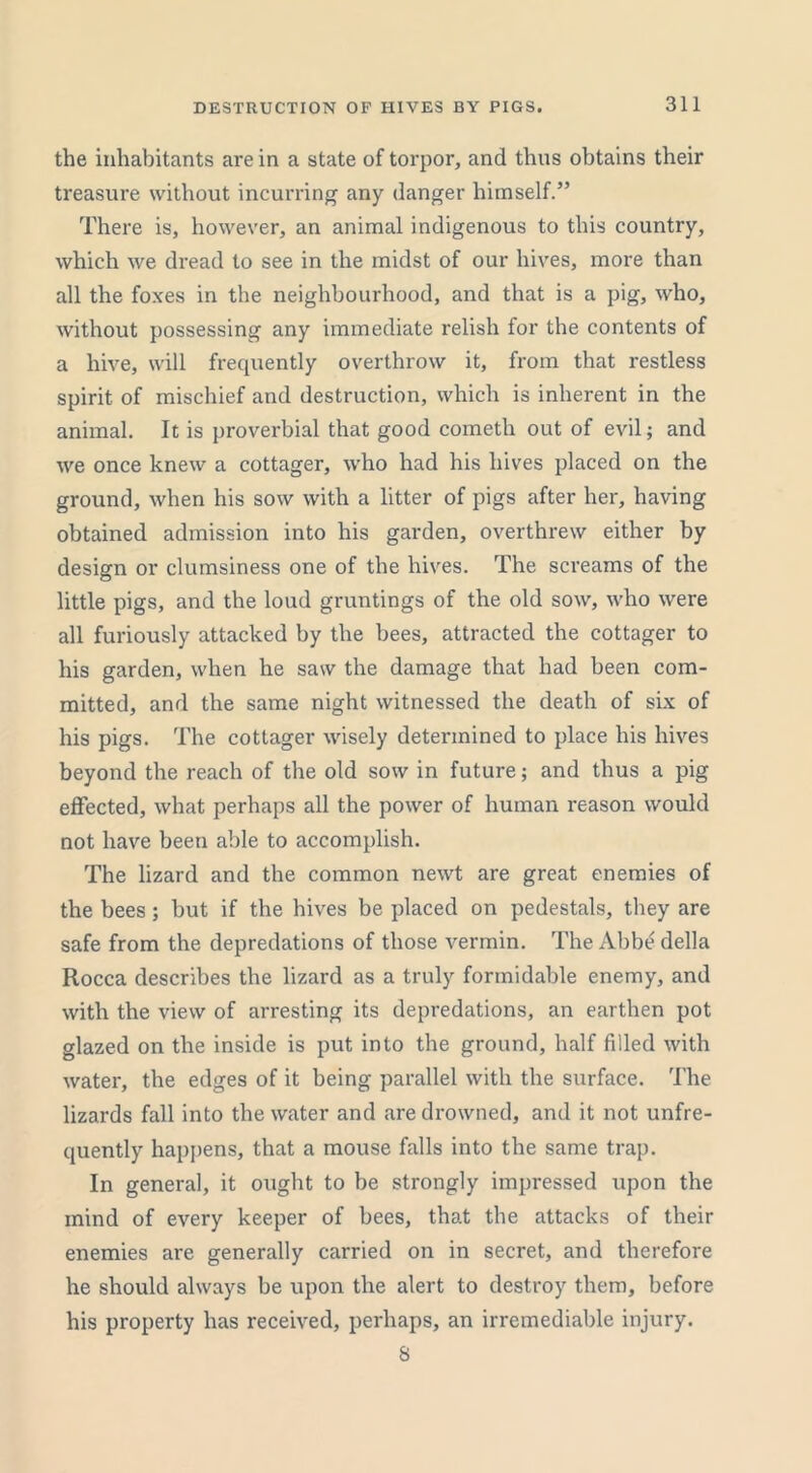 the inhabitants are in a state of torpor, and thus obtains their treasure without incurring any danger himself.” There is, however, an animal indigenous to this country, which we dread to see in the midst of our hives, more than all the foxes in the neighbourhood, and that is a pig, who, without possessing any immediate relish for the contents of a hive, will frequently overthrow it, from that restless spirit of mischief and destruction, which is inherent in the animal. It is proverbial that good cometh out of evil; and we once knew a cottager, who had his hives placed on the ground, when his sow with a litter of pigs after her, having obtained admission into his garden, overthrew either by design or clumsiness one of the hives. The screams of the little pigs, and the loud gruntings of the old sow, who were all furiously attacked by the bees, attracted the cottager to his garden, when he saw the damage that had been com- mitted, and the same night witnessed the death of six of his pigs. The cottager wisely determined to place his hives beyond the reach of the old sow in future; and thus a pig effected, what perhaps all the power of human reason would not have been able to accomplish. The lizard and the common newt are great enemies of the bees; but if the hives be placed on pedestals, they are safe from the depredations of those vermin. The Abbe della Rocca describes the lizard as a truly formidable enemy, and with the view of arresting its depredations, an earthen pot glazed on the inside is put into the ground, half filled with water, the edges of it being parallel with the surface. The lizards fall into the water and are drowned, and it not unfre- quently happens, that a mouse falls into the same trap. In general, it ought to be strongly impressed upon the mind of every keeper of bees, that the attacks of their enemies are generally carried on in secret, and therefore he should always be upon the alert to destroy them, before his property has received, perhaps, an irremediable injury. 8