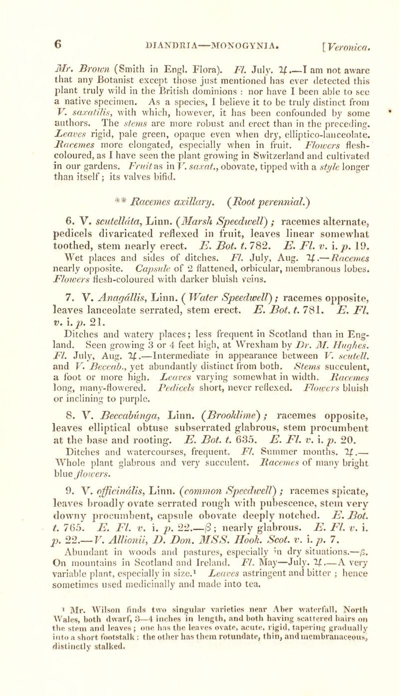 Mr. Brown (Smith in Engl. Flora). FI. July. If .—I am not aware that any Botanist except those just mentioned has ever detected this plant truly wild in the British dominions : nor have I been able to see a native specimen. As a species, I believe it to be truly distinct from V. saxatilis, with which, however, it has been confounded by some authors. The stems are more robust and erect than in the preceding. Leaves rigid, pale green, opaque even when dry, elliptico-lanceolate. Racemes more elongated, especially when in fruit. Flowers flesh- coloured, as I have seen the plant growing in Switzerland and cultivated in our gardens. Fruit, as in V. saxat., obovate, tipped with a style longer than itself; its valves bifid. ** Racemes axillary. (Root perennial.') 6. V. scutelldta, Linn. (Marsh Speedwell) ; racemes alternate, pedicels divaricated reflexed in fruit, leaves linear somewhat toothed, stem nearly erect. E. Rot. t. 782. E. FI. v. i. p. 19. Wet places and sides of ditches. FI. July, Aug. If.—Racemes nearly opposite. Capsule of 2 flattened, orbicular, membranous lobes. Flowers flesh-coloured with darker bluish veins. 7. V. Anagallis, Linn. ( Water Speedwell); racemes opposite, leaves lanceolate serrated, stem erect. E. Bot. t. 781. E. FI. v. i. p. 21. Ditches and watery places; less frequent in Scotland than in Eng- land. Seen growing 3 or 4 feet high, at Wrexham by F)r. 31. Hughes. FI. July, Aug. If.—Intermediate in appearance between V. scutell. and V. Beccah., yet abundantly distinct from both. Stems succulent, a foot or more high. Leaves varying somewhat in width. Racemes long, many-flowered. Pedicels short, never reflexed. Flowers bluish or inclining to purple. 8. V. Beccabunga, Linn. (Brooklime); racemes opposite, leaves elliptical obtuse subserrated glabrous, stem procumbent at the base and rooting. E. Bot. t. 635. E. FI. v. i. p. 20. Ditches and watercourses, frequent. FI. Summer months. If.—. Whole plant glabrous and very succulent. Racemes of many bright blue flowers. 9. V. officinalis, Linn, (common Speedwell) ; racemes spicate, leaves broadly ovate serrated rough with pubescence, stein very downy procumbent, capsule obovate deeply notched. E. Bot. t. 765. E. FI. v. i. p. 22 (3; nearly glabrous. E. FI. v. i. p. 22.— V. Allionii, 1). Don. MSS. Hook. Scot. v. i. p. 7. Abundant in woods and pastures, especially hi dry situations.—£. On mountains in Scotland and Ireland. FI. May—July. If—A very variable plant, especially in size.1 Leaves astringent and bitter ; hence sometimes used medicinally and made into tea. 1 Mr. Wilson finds two singular varieties near A her waterfall, North Wales, both dwarf, 3—4 inches in length, and both having scattered hairs on the stem and leaves; one has the leaves ovate, acute, rigid, tapering gradually into a short footstalk ; the ot her has them rotundate, thin, and membranaceous, distinctly stalked.