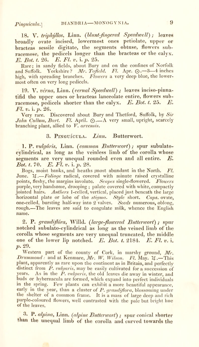 18. V. triphyllos, Linn, (blunt-fingered Speedwell); leaves broadly ovate incised, lowermost ones petiolate, upper or bracteas sessile digitate, the segments obtuse, flowers sub- racemose, the pedicels longer than the bracteas or the calyx. E. Bot. t. 26. E. FI. v. i. p. 25. Rare; in sandy fields, about Bury and on the confines of Norfolk and Suffolk. Yorkshire? Mr. Tofield. FI. Apr. 0.—3—4 inches high, with spreading branches. Flowers a very deep blue, the lower- most often on very long pedicels. 19. V. verna, Linn. (vernal Speedwell) ; leaves inciso-pinna- tifid the upper ones or bracteas lanceolate entire, flowers sub- racemose, pedicels shorter than the calyx. E. Bot. t. 25. E. El. v. i. p. 26. Very rare. Discovered about Bury and Thetford, Suffolk, by Sir John Cid/um, Bart. FI. April. ©—A very small, upright, scarcely branching plant, allied to V. arvensis. 3. Pinguicula. Linn. Butterwort. 1. P. vulgaris, Linn. (common Butterwort) ; spur subulato- cylindrical, as long as the veinless limb of the corolla whose segments are very unequal rounded even and all entire. E. Bot. t. 70. E. FI. v. i. p. 28. Bogs, moist banks, and heaths ;most abundant in the North. FI. June. If.—Foliage radical, covered with minute raised crystalline points, fleshy, the margins involute. Scapes single-flowered. Flowers purple, very handsome, drooping ; palate covered with white, compactly jointed hairs. Anthers 1 -celled, vertical, placed just beneath the large horizontal plate or lobe of the stigma. Style short. Caps, ovate, one-celled, bursting half-way into 2 valves. Seeds numerous, oblong, rough.—The leaves are said to coagulate milk, whence the English name. 2. P. grandijlora, Willd. (large-jlowereil Butterwort) ; spur notched subulato-cylindrical as long as the veined limb of the corolla whose segments are very unequal truncated, the middle one of the lower lip notched. E. Bot. t. 2184. E. FI. v. i. p. 29. Western part of the county of Cork, in marshy ground, Mr. Drummond: and at Kenmare, Mr. JV. Wilson. Ft. May. If..—This plant, apparently as rare upon the continent as in Britain, and perfectly distinct from F. vulgaris, may be easily cultivated fora succession of years. As in the P. vulgaris, the old leaves die away in winter, and buds or hybernacula are formed, which expand into perfect individuals in the spring. Few plants can exhibit a more beautiful appearance, early in the year, than a cluster of P. grandijlora, blossoming under the shelter of a common frame. It is a mass of large deep and rich purple-coloured flowers, well contrasted with the pale but bright hue of the leaves. 3. P. alpina, Linn, (alpine Butterwort) ; spur conical shorter than the unequal limb of the corolla and curved towards the