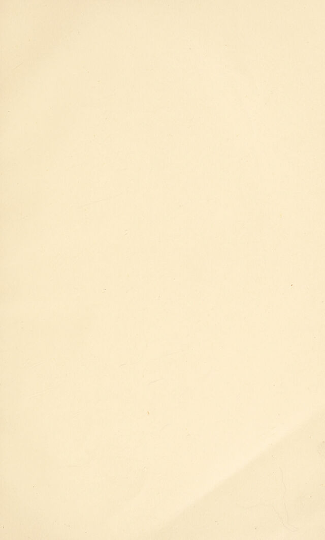 digitised image 3