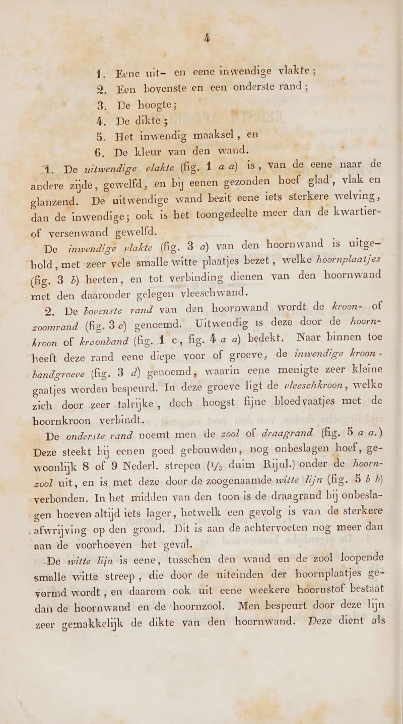 Á {. Eene uit- en eene inwendige vlakte ; 9. Een bovenste en een onderste rand ; 3. De hoogte; A, De dikte; 5. Het inwendig maaksel , en 6. De kleur van den wand. 4. De uitwendige vlakte (fg. 1 aa) is, van de eene maar de andere zijde, gewelfd, en bij eenen gezonden hoef glad, vlak en glanzend. De uitwendige wand bezit eene iets sterkere welving, dan de inwendige; ook is het toongedeelte meer dan de k wartier- of versenwand gewelfd. De inwendige vlakte (fg. 3 a) van den hoornwand is uitge hold , met zeer vele smalle witte plaatjes bezet, welke hoornplaatjes (fig. 3 5) heeten, en tot verbinding dienen van den hoornwand met den daaronder gelegen vleeschwand. 9, De bovenste rand van den hoornwand wordt de Aroon- of zoomrand (fig. 3e) genoemd. Uitwendig 1s deze door de Aoorn- kroon of kroonband (fig. f c, fig. a a) bedekt. Naar binnen toe heeft deze rand eene diepe voor of groeve, de inwendige kroon - bandgroeve (fig. 3 d) genoemd, waarin eene menigte zeer kleine gaatjes worden bespeurd. In deze groeve ligt de pleeschkroon, welke zich door zeer talrijke , doch hoogst fijne bloedvaatjes met de hoornkroon verbindt. De onderste rand. noemt men de zool of draagrand (fig. Saa.) Deze steekt bij eenen goed gebouwden, nog onbeslagen hoef, ge- woonlijk 8 of 9 Nederl. strepen (1/3 duim Rijnl.) onder de hoorn- zool uit, en is met deze door de zoogenaamde sitte lijn (ig. 9 5 6) verbonden. In het midden van den toon is de draagrand bij onbesla- „gen hoeven altijd tets lager, hetwelk een gevolg is van de sterkere d afwrijving op den grond. Dit is aan de achtervoeten nog meer dan “aan de voorhoeven het geval. De witte lijn is eene, tusschen den wand en de zool loopende smalle witte streep, die door de uiteinden der hoornplaatjes ge- vormd wordt ‚en daarom ook uit eene weekere hoornstof bestaat dan de hoornwand en de ‘hoornzool. Men bespeurt door deze lijn zeer gemakkelijk de dikte van den hoornwand. Peze dient als
