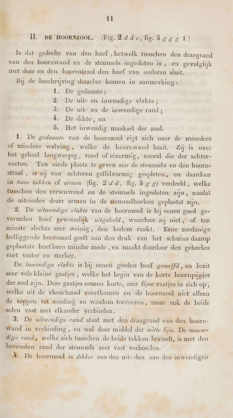 Il. DR HOORN400L. (Fig.2dde,fig. Sgge 1) is dat gedeelte van den hoef , hetwelk tusschen den draagrand van den hoornwand en de steunsels ingesloten is , en gevolglijk met deze en den hoornstraal den hoef van onderen stuit. Bij de beschrijving derzelve komen in aanmerking : 1. De gedaante; 2. De uit- en inwendige vlakte; 3. De uit- en de inwendige rand; Á. De dikte, en 9. Het inwendig maaksel der zool. Î. De gedaante van de hoornzool rigt zich naar de meerdere of mindere welving , welke de hoornwand bezit. Zij is over het geheel langwerpig, rond of eivormig, vooral die der achter= O7 voeten. Ten einde plaats te geven aan de steunsels en den hoorn= in twee takken of armen (fg. 2dd, fig. d gg) verdeeld, welke tusschen den versenwand en de steunsels ingesloten zijn , zoodat de uiteinden dezer armen in de steunselhoeken geplaatst zijn. 2. De witwendige vlakte van de hoornzool is bij eenen goed ge- vormden hoef gewoonlijk uitgehold, waardoor zij niet, of ten minste slechts zeer weinig, den bodem raakt. Eene zoodanige bolliggende hoornzool geeft aan den druk van het schuins daarop geplaatste hoef been minder mede , en maakt daardoor den geheelen voet vaster en sterker. De inwendige plakte is bij eenen goeden hoef gewelfd,en bezit zeer vele kleine gaatjes, welke het begin van de korte hoornpijpjes der zool zijn. Deze gaatjes nemen korte, zeer fijne vaatjes in zich op; welke uit de vleeschzool voortkomen en de hoornzool niet alleen de sappen tot voeding en wasdom toevoeren, maar ook de beide zolen vast ret elkander verbinden. 3. De witwendige rand staat met den draagrand van den hoorn- Wand in verbinding , en wel door middel der »vitte lijn. De inwen= dige randy welke zich tusschen de beide takken bevindt, is met den bovensten rand der steunsels zeer vast verbonden. 1. De hoornzool is dikker aan den uit- dan aan den inwendigen id