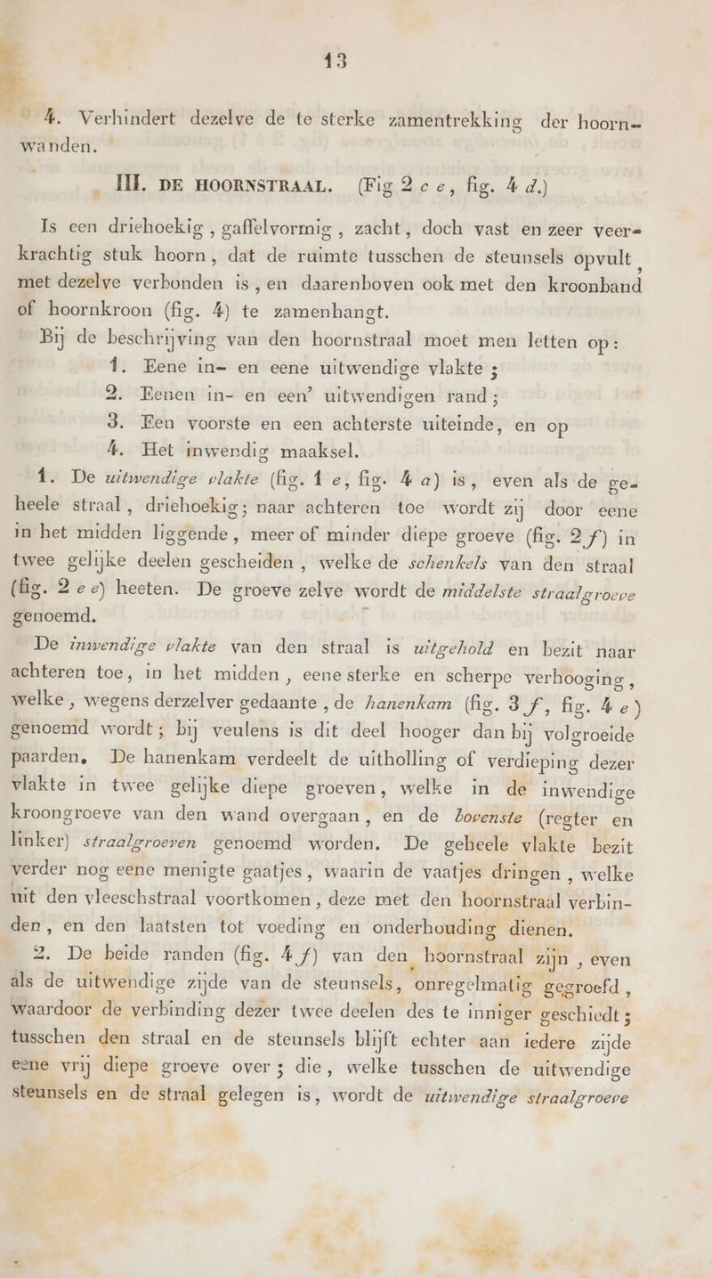prd _ 4. Verhindert dezelve de te sterke zamentrekking der hoorn= wanden. ‚ HI. pe HooRNsTRAAL. (Fig 2ce, fig. 4d.) Is een driehoekig , gaffelvormig , zacht, doch vast en zeer veer= krachtig stuk hoorn, dat de ruimte tusschen de steunsels opvult, met dezelve verbonden is,en daarenboven ook met den kroonband BE boornkroon (fig. 4) te zamenhangt. Bij de beschrijving van den hoornstraal moet men letten op: Î. Eene in- en eene uitwendige vlakte ; 2. Eenen in- en een? uitwendigen rand; 3. Een voorste en een achterste uiteinde, en op Á. Het inwendig maaksel. Î. De uitwendige plakte (Ag. Î ee, fig. Á a) is, even als de ge- heele straal, driehoekig; naar achteren toe wordt zij door eene in het midden liggende, meer of minder diepe groeve (fg. 2 f) in twee gelijke deelen gescheiden , welke de schenkels van den straal (fg. 2e e) heeten. De groeve zelve wordt de middelste straal groepe genoemd. Á De inwendige plakte van den straal is witgehold en bezit naar achteren toe, in het midden , eene sterke en scherpe verhooging, welke , wegens derzelver gedaante „de hanenkam fig. 3f, fig. he) genoemd wordt; bij veulens is dit deel hooger dan bij volgroeide paarden, De hanenkam verdeelt de uitholling of verdieping dezer vlakte in twee gelijke diepe groeven, welke in de inwendige kroongroeve van den wand overgaan, en de Zopenste (regter en linker) sfraalgroeven genoemd worden. De geheele vlakte bezit verder nog eene menigte gaatjes, waarin de vaatjes dringen , welke uit den vleeschstraal voortkomen , deze met den hoornstraal verbin- den, en den laatsten tot voeding en onderhouding dienen. 2. De beide randen (fig. 4 f) van den, hoornstraal zijn , even als de uitwendige zijde van de steunsels, onregelmatig gegroefd , waardoor de verbinding dezer twee deelen des te inniger geschiedt 3 tusschen den straal en de steunsels blijft echter aan iedere zijde eene vrij diepe groeve overs die, welke tusschen de uitwendige steunsels en de straal gelegen is, wordt de witwendige straalgroeve