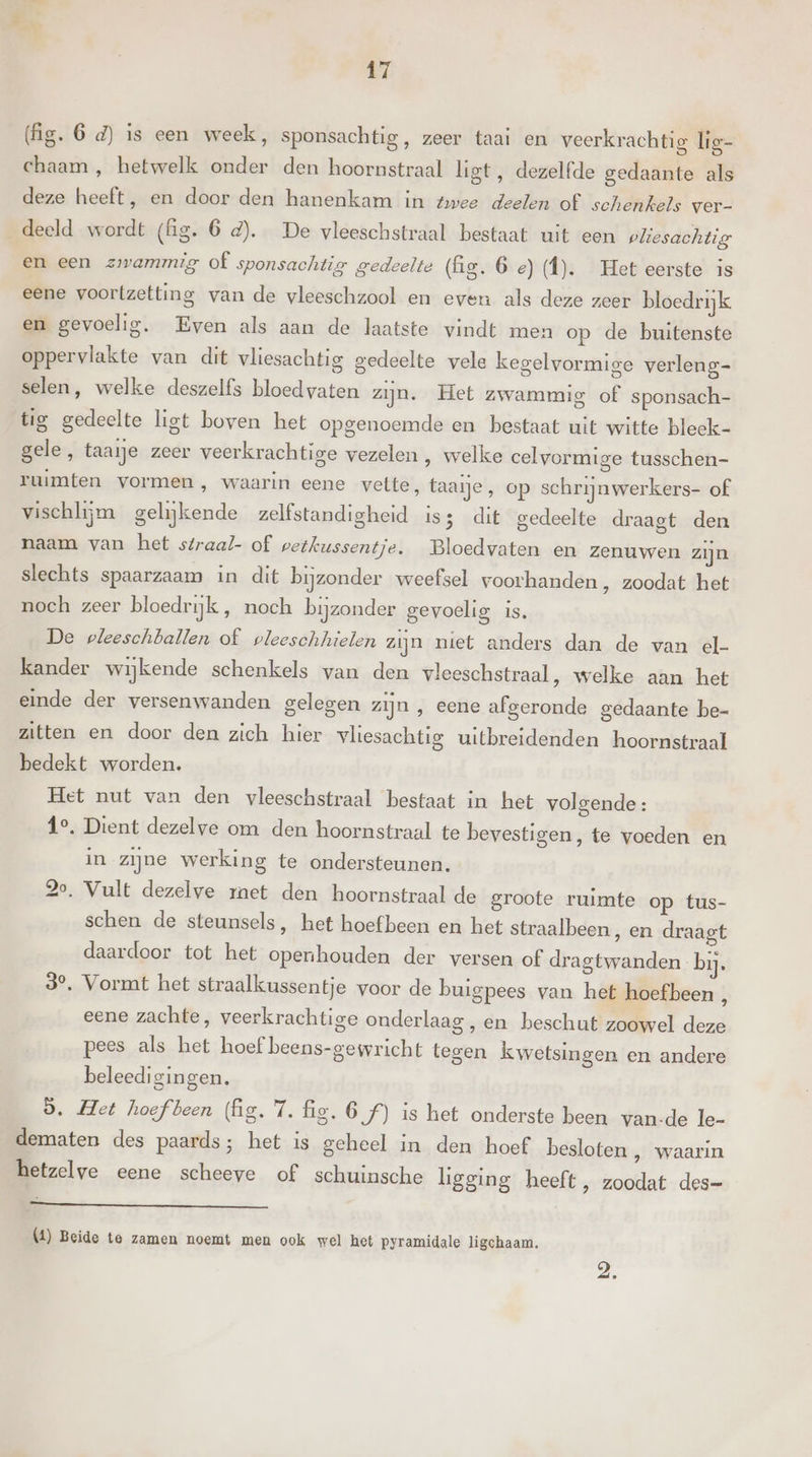 (fig. 6 d) is een week, sponsachtig, zeer taai en veerkrachtig lig- chaam, hetwelk onder den hoornstraal ligt, dezelfde gedaante als deze heeft, en door den hanenkam in twee deelen of schenkels ver- deeld wordt (fig. 6 d). De vleeschstraal bestaat uit een pliesachtig en een zwammig of sponsachtig gedeelte (Gg. 6e) (fl). Het eerste is eene voortzetting van de vleeschzool en even als deze zeer bloedrijk en gevoelig. Even als aan de laatste windt men op de buitenste oppervlakte van dit vliesachtig gedeelte vele kegelvormige verleng- selen, welke deszelfs bloed vaten zijn. Het zwammig of sponsach- tig gedeelte ligt boven het opgenoemde en bestaat uit witte bleek- gele, taaije zeer veerkrachtige vezelen , welke celvormige tusschen- ruimten vormen, waarin eene vette, taaie, op schrijnwerkers- of vischlijm gelijkende zelfstandigheid is3 dit gedeelte draagt den naam van het sfraa/- of petkussentje. Bloedvaten en zenuwen zijn slechts spaarzaam in dit bijzonder weefsel voorhanden, zoodat het noch zeer bloedrijk , noch bijzonder gevoelig is, De pleeschballen of pleeschhielen zijn niet anders dan de van el- kander wijkende schenkels van den vleeschstraal, welke aan het einde der versenwanden gelegen zijn , eene afgeronde gedaante be- zitten en door den zich hier vliesachtig uitbreidenden hoornstraal bedekt worden. Het nut van den vleeschstraal bestaat in het volgende: 1°. Dient dezelve om den hoornstraal te bevestigen, te voeden en in zijne werking te ondersteunen. 2o, Vult dezelve ret den hoornstraal de groote ruimte op tus- schen de steunsels, het hoefbeen en het straalbeen, en draagt daardoor tot het openhouden der versen of dragtwanden bij. 3°, Vormt het straalkussentje voor de buigpees van het hoefbeen , eene zachte, veerkrachtige onderlaag, en beschut zoowel deze pees als het hoef beens-gewricht tegen kwetsingen en andere beleedigingen. 9, Het hoef been (fig. 7. fig. 6 f) is het onderste been van-de le- dematen des paards; het is geheel in den hoef besloten , waarin hetzelve eene scheeve of schuinsche ligging heeft, zoodat des- (4) Beide te zamen noemt men ook wel het pyramidale ligchaam.