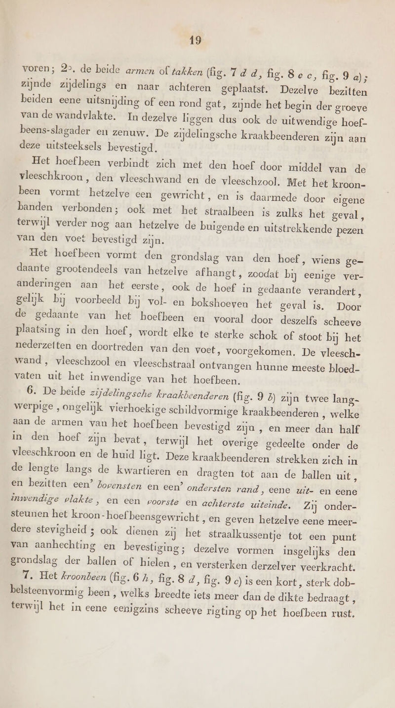 voren; 22, de beide armen of takken (ûg.7dd, fig. Sec, fig. 9 a); zijnde zijdelings en naar achteren geplaatst. Dezelve bezitten beiden eene uitsnijding of een rond gat, zijnde het begin der groeve van de wandvlakte. In dezelve liegen dus ook de uitwendige hoef- beens-slagader en zenuw. De zijdelingsche kraakbeenderen zijn aan deze uitsteeksels bevestigd. Het hoef been verbindt zich met den hoef door middel van de vleeschkroon, den vleeschwand en de vleeschzool. Met het kroon- been vormt hetzelve een gewricht, en is daarmede door eigene banden verbonden; ook met het straalbeen is zulks het geval, terwijl verder nog aan hetzelve de buigende en uitstrekkende pezen van den voet bevestigd zijn. Het hoef been vormt den grondslag van den hoef, wiens ge- daante grootendeels van hetzelve afhangt, zoodat bij eenige ver- anderingen aan het eerste, ook de hoef in gedaante verandert, gelijk bij voorbeeld bij vol- en bokshoeven het geval is. Door de gedaante van het hoefbeen en vooral door deszelfs scheeve plaatsing in den hoef, wordt elke te sterke schok of stoot bij het nederzeften en doortreden van den voet , voorgekomen. De vleesch- wand , vleeschzool en vleeschstraal ontvangen hunne meeste bloed- vaten uit het inwendige van het hoefbeen. 6. De beide zijdelingsche kraakbeenderen (fig. 9 2) zijn twee lang- werpige , ongelijk vierhoekige schildvormige kraakbeenderen , welke aan de armen van het hoef been bevestigd zijn , en meer dan half in den hoef zijn bevat, terwijl het overige gedeelte onder de vleeschkroon en de huid ligt. Deze kraakbeenderen strekken zich in de lengte langs de kwartieren en dragten tot aan de ballen uit, en bezitten een’ Zopensten en een’ ondersten rand, eene uit- en eene inwendige plakte, en een voorste en achterste uiteinde. Zij onder- steunen het kroon- hoef beensgewricht , en geven hetzelve eene meer- dere stevigheid 5 ook dienen zij het straalkussentje tot een punt van aanhechting en bevestiging; dezelve vormen insgelijks den grondslag der ballen of hielen ‚ en versterken derzelver veerkracht. 7. Het kroonbeen (fig. 6 h, fig. 8 d, fig. 9) is een kort, sterk dob- belsteenvormig been , welks breedte iets meer dan de dikte bedraagt , terwijl het in eene eenigzins scheeve rigting op het hoefbeen rust.