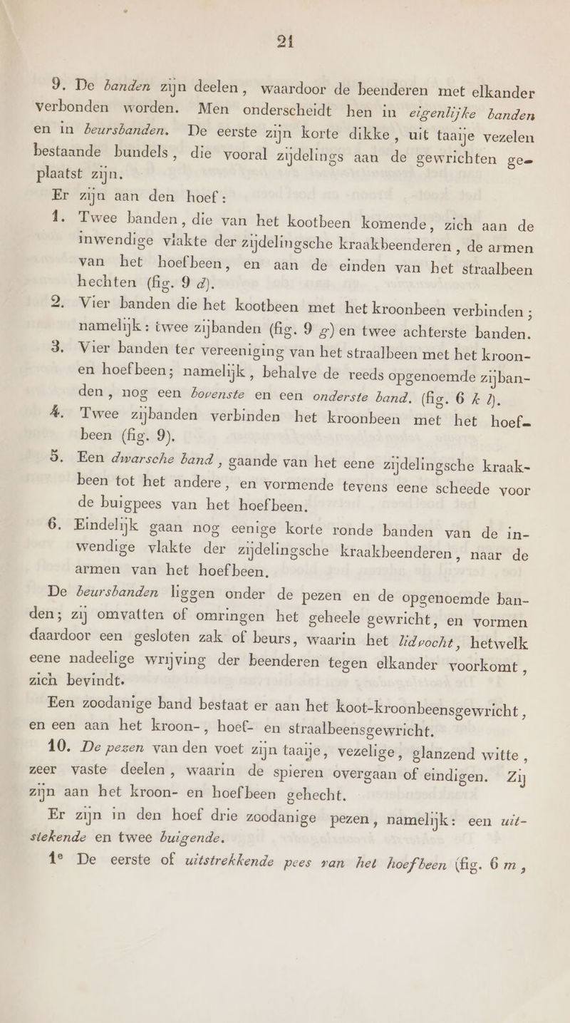 9. De Zanden zijn deelen, waardoor de beenderen met elkander verbonden worden. Men onderscheidt hen in eigenlijke banden en in deursbanden. De eerste zijn korte dikke, uit taaie vezelen bestaande bundels, die vooral zijdelings aan de gewrichten gee plaatst zijn. Er zijn aan den hoef: Î. Twee banden, die van het kootbeen komende, zich aan de inwendige vlakte der zijdelingsche kraakbeenderen ‚ de armen van het hoefbeen, en aan de einden van het straalbeen hechten (fig. 9 d). 2. Vier banden die het kootbeen met het kroonbeen verbinden ; namelijk : twee zijbanden (fig. 9 #)en twee achterste banden. 3. Vier banden ter vereeniging van het straalbeen met het kroon- en hoef been; namelijk , behalve de reeds opgenoemde zijban- den, nog een Bovenste en een onderste band. (fg. 6 k 7. Á. Twee zijbanden verbinden het kroonbeen met het hoef. been (fig. 9). 9. Een dwarsche band , gaande van het eene zijdelingsche kraak- been tot het andere, en vormende tevens eene scheede voor de buigpees van het hoef been. 6. Eindelijk gaan nog eenige korte ronde banden van de in- wendige vlakte der zijdelingsche kraakheenderen, naar de armen van het hoef been, De beursbanden liggen onder de pezen en de opgenoemde ban- den; zij omvatten of omringen het geheele gewricht, en vormen daardoor een gesloten zak of beurs, waarin het lidpocht, hetwelk eene nadeelige wrijving der beenderen tegen elkander voorkomt, zich bevindt. Een zoedanige band bestaat er aan het koot-kroonbeensgewricht £ en een aan het kroon-, hoef- en straalbeensgewricht. 10. De pezen van den voet zijn taaije, vezelige, glanzend witte , zeer vaste deelen, waarin de spieren overgaan of eindigen. Zij zijn aan het kroon- en hoef been gehecht. Er zijn in den hoef drie zoodanige pezen, namelijk: een wit- stekende en twee buigende. 1° De eerste of witstrekkende pees van het hoef been (fig. Om,