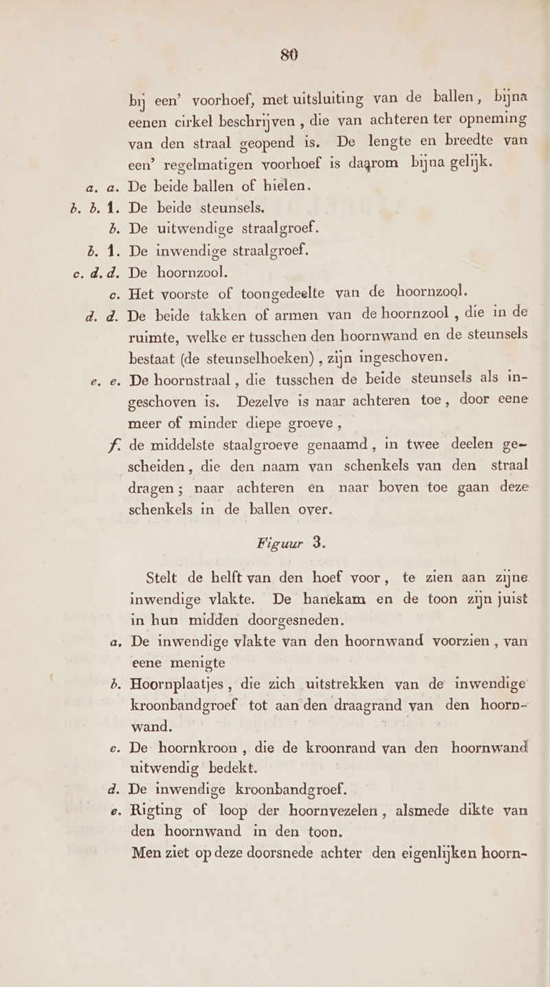 ij ae 80 bij een’ voorhoef, met uitsluiting van de ballen, bijna eenen cirkel beschrijven , die van achteren ter opneming van den straal geopend is. De lengte en breedte van een’ regelmatigen voorhoef is dagrom bijna gelijk. De beide ballen of hielen. De beide steunsels. De uitwendige straalgroef. De inwendige straalgroef. De hoornzool. De beide takken of armen van de hoornzool , die in de ruimte, welke er tusschen den hoornwand en de steunsels bestaat (de steunselhoeken) , zijn ingeschoven. geschoven is. Dezelve is naar achteren toe, door eene meer of minder diepe groeve , de middelste staaleroeve genaamd, in twee deelen ge Ss 8 » 8 scheiden, die den naam van schenkels van den straal drasen : naar achteren én naar boven toe gaan deze ALL) Ss schenkels in de ballen over. Figuur 3. Stelt de helft van den hoef voor, te zien aan zijne inwendige vlakte. De harekam en de toon zijn juist in hun midden doorgesneden. De inwendige vlakte van den hoornwand voorzien , van eene menigte kroonbandgroef tot aan 1 den draagrand van den hoorn- wand. uitwendig bedekt. den hoornwand in den toon. Men ziet op deze doorsnede achter den eigenlijken hoorn-