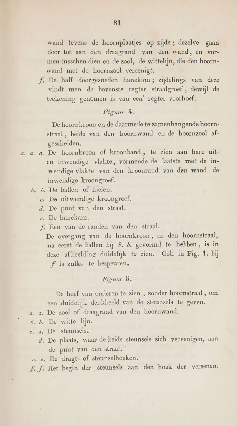 wand tevens de hoornplaatjes op zijde ; dezelve gaan door tot aan den draagrand van den wand, en vor- men tusschen dien en de zool, de wittelijn, die den hoorn- wand met de hoornzool vereenigt. f. De half doorgesneden hanekam; zijdelings van deze vindt men de bovenste regter straalgroef , dewijl de teekening genomen is van een’ regter voorhoef. Figuur bi. De hoornkroon en de daarmede te zamenhangende hoorn- straal, beide van den hoornwand en de hoornzool af- gescheiden. a. a. a. De hoornkroon of kroonband, te zien aan hare uit- en inwendige vlakte, vormende de laatste met de in- wendige vlakte van den kroonrand van den wand de inwendige kroongroef. B. B. De ballen of hielen. ec. De uitwendige kroongroef. d, De punt van den straal. e. De hanekam. fe Een van de randen van den straal. De overgang van de hoornkroon, in den hoornstraal, na eerst de ballen bij 5. 5. gevormd te hebben, is in deze afbeelding duidelijk te zien. Ook in Fig. 1. bij f is zulks te bespeuren, Figuur 5, De hoef van onderen te zien , zonder hoornstraal , om een duidelijk denkbeeld van de steunsels te geven. a. a. De zool of draagrand van den hoornwand. B. B. De witte lin. ce. ec. De steunsels, d. De plaats, waar de beide steunsels zich vereenigen, aan de punt van den straal, e. e. De dragt- of steunselhoeken. ff. Het begin der steunsels aan den hoek der versenen.