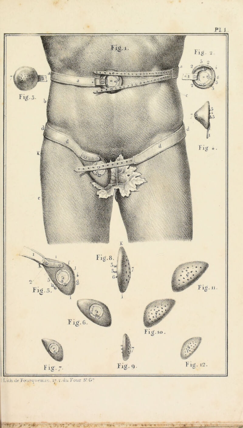 Pli. Fi^.3. Fig. G. F12. 11. Lich deTouraneu^iK. i* v.tlu Four S‘ G-” i i