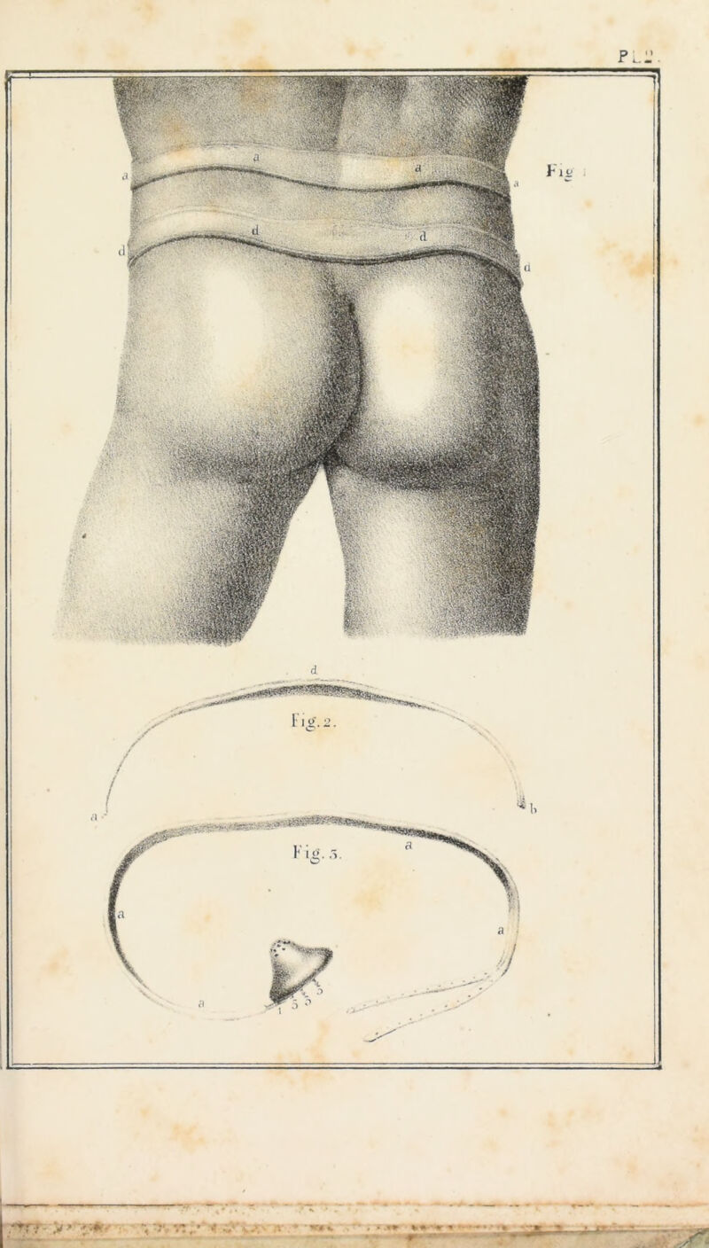 » ^ ~ rj', v: ,y «ib-à.