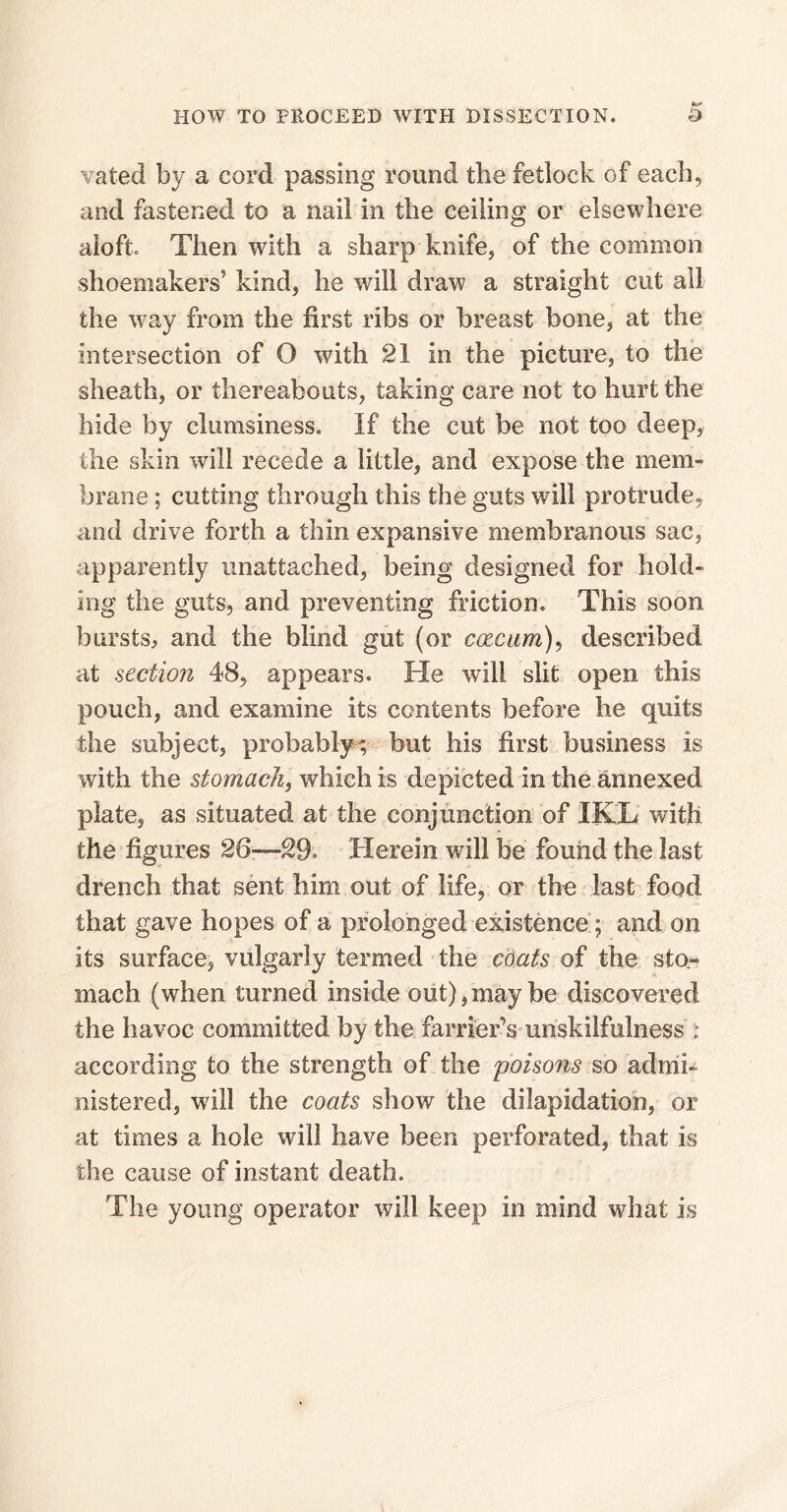 vated by a cord passing round the fetlock of each, and fastened to a nail in the ceiling or elsewhere aloft Then with a sharp knife, of the common shoemakers' kind, he will draw a straight cut ail the way from the first ribs or breast bone, at the intersection of O with 21 in the picture, to the sheath, or thereabouts, taking care not to hurt the hide by clumsiness. If the cut be not too deep, the skin will recede a little, and expose the mem¬ brane ; cutting through this the guts will protrude, and drive forth a thin expansive membranous sac, apparently unattached, being designed for hold¬ ing the guts, and preventing friction. This soon bursts, and the blind gut (or caecum), described at section 48, appears. He will slit open this pouch, and examine its contents before he quits the subject, probably-; but his first business is with the stomach, which is depicted in the annexed plate, as situated at the conjunction of IKL with the figures 26-—Herein will be found the last drench that sent him out of life, or the last food that gave hopes of a prolonged existence; and on its surface, vulgarly termed the mats of the sto¬ mach (when turned inside out),may be discovered the havoc committed by the farrier’s unskilfulness : according to the strength of the poisons so admi¬ nistered, wall the coats show the dilapidation, or at times a hole will have been perforated, that is the cause of instant death. The young operator will keep in mind what is