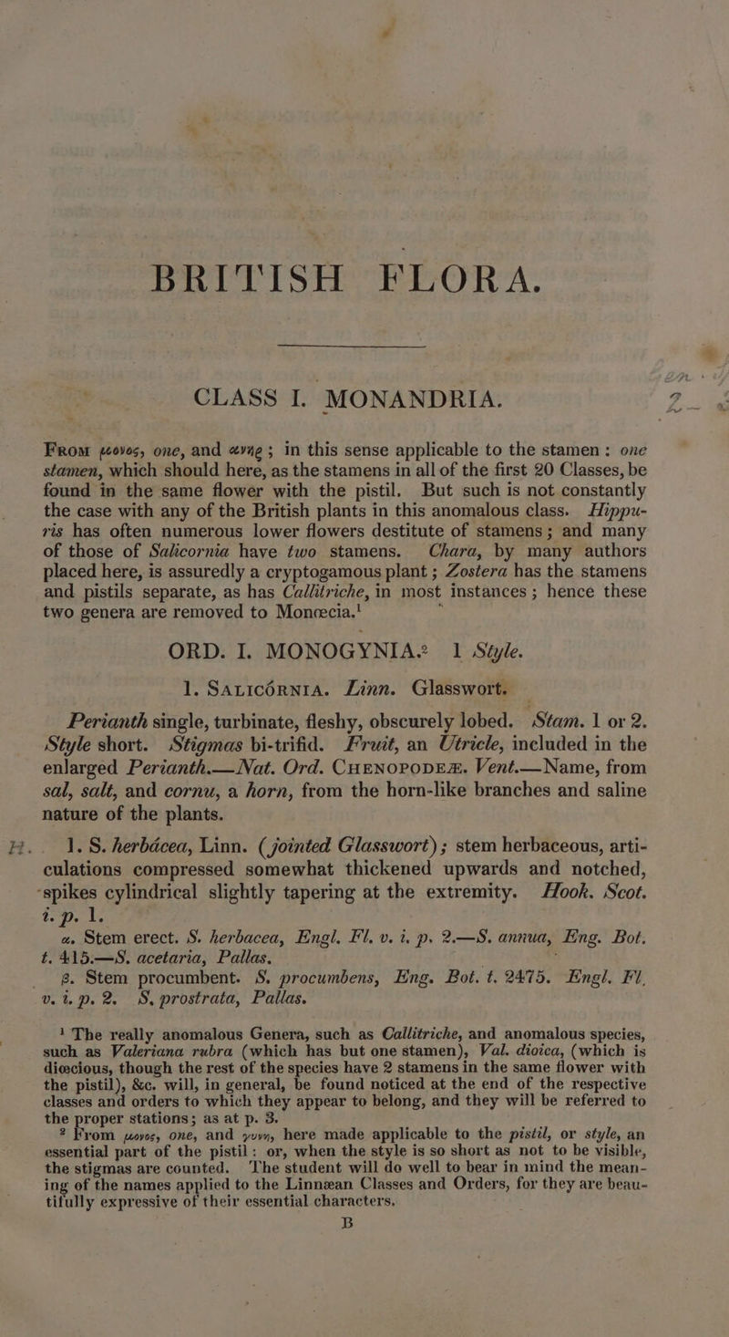 BRITISH FLORA. CLASS I. MONANDRIA. From (0v0s, one, and «vag; in this sense applicable to the stamen : one stamen, which should here, as the stamens in all of the first 20 Classes, be found in the same flower with the pistil. But such is not constantly the case with any of the British plants in this anomalous class. Hippu- ris has often numerous lower flowers destitute of stamens; and many of those of Salicornia have two stamens. Chara, by many authors placed here, is assuredly a cryptogamous plant ; Zostera has the stamens and pistils separate, as has Callitriche, in most instances ; hence these two genera are removed to Moneecia.! : ORD. I. MONOGYNIA’ 1 Séjle. 1. Satic6rRNIA. Linn. Glasswort. Perianth single, turbinate, fleshy, obscurely lobed. Stam. 1 or 2. Style short. Stigmas bi-trifid. Fruit, an Utricle, included in the enlarged Perianth.— Nat. Ord. CHENOPODE. Vent.—Name, from sal, salt, and cornu, a horn, from the horn-like branches and saline nature of the plants. 1. S. herbdcea, Linn. (jointed Glasswort) ; stem herbaceous, arti- culations compressed somewhat thickened upwards and notched, Fy (Ret a. Stem erect. S. herbacea, Engl, Fl. v. i. p. 2.—S. annua, Eng. Bot. t. 415.—S. acetaria, Pallas. g. Stem procumbent. S. procumbens, Hng. Bot. t. 2475. Engl. Fi, 1 The really anomalous Genera, such as Callitriche, and anomalous species, such as Valeriana rubra (which has but one stamen), Val. dioica, (which is diecious, though the rest of the species have 2 stamens in the same flower with the pistil), &amp;c. will, in general, be found noticed at the end of the respective classes and orders to which they appear to belong, and they will be referred to the proper stations; as at p. 3. 2 From joyos, one, and yy, here made applicable to the pistil, or style, an essential part of the pistil: or, when the style is so short as not to be visible, the stigmas are counted. ‘The student will do well to bear in mind the mean- ing of the names applied to the Linnean Classes and Orders, for they are beau- tifully expressive of their essential characters. B