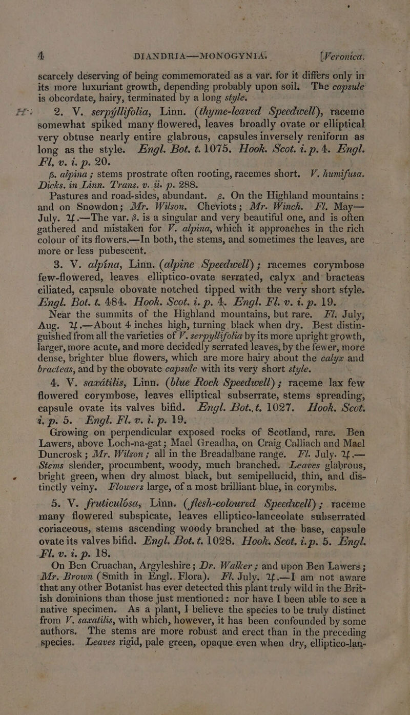 scarcely deserving of being commemorated as a var. for it differs only in is obcordate, hairy, terminated by a long style. 2. V. serpyllifolia, Linn. (thyme-leaved Speedwell), raceme somewhat spiked many flowered, leaves broadly ovate or elliptical very obtuse nearly entire glabrous, capsules inversely reniform as long as the style. ingl. Bot. t.1075. Hook. Scot. i. p.4. Engl. Fil, v. i. p. 20. | 7) B. alpina ; stems prostrate often rooting, racemes short. V. humifusa. Dicks. in Linn. Trans. v..%i. p. 288. ; Pastures and road-sides, abundant. g¢. On the Highland mountains : and on Snowdon; Jr. Wilson. Cheviots; Mr. Winch. Fl. May— July. 2¢.—The var. @. is a singular and very beautiful one, and is often gathered and mistaken for V. alpina, which it approaches in the rich colour of its flowers.—In both, the stems, and sometimes the leaves, are . more or less pubescent. - 3. V~. alpina, Linn. (alpine Speedwell) ; racemes corymbose few-flowered, leaves elliptico-ovate serrated, calyx and’ bracteas ciliated, capsule obovate notched tipped with the very short style. Engl. Bot. t. 484. Hook. Scot.i. p. 4. Engl. Fl. v. i. p. 19. Near the summits of the Highland mountains, but rare. FF. July, Aug. 2{.—About 4 inches high, turning black when dry. _ Best distin- guished from all the varieties of ’. serpyllifoha by its more upright growth, larger, more acute, and more decidedly serrated leaves, by the fewer, more dense, brighter blue flowers, which are more hairy about the calyx and bracteas, and by the obovate capsule with its very short style. 4. V. saxdtilis, Linn. (blue Rock Speedwell) ; raceme lax few flowered corymbose, leaves elliptical subserrate, stems spreading, capsule ovate its valves bifid. Angl. Bot..t. 1027. Hook. Scot. a. p. 5. ~ Engl. Fl. v. 1. p. 19. . Growing on perpendicular exposed rocks of Scotland, rare. Ben Lawers, above Loch-na-gat ; Mael Greadha, on Craig Calliach and Mael Duncrosk ; Mr. Wilson; all in the Breadalbane range. FV. July. 2f.— Stems slender, procumbent, woody, much branched. Leaves glabrous, tinctly vemy. lowers large, of a most brilliant blue, in corymbs. 5. V. fruticulésa, Linn. (flesh-coloured Speedwell); raceme many flowered subspicate, leaves elliptico-lanceolate subserrated coriaceous, stems ascending woody branched at the base, capsule ovate its valves bifid. Engl. Bot. t. 1028. Hook. Scot, i.p. 5. Engl. Fl. v. i. p. 18. On Ben Cruachan, Argyleshire ; Dr. Walker ; and upon Ben Lawers ; Mr. Brown (Smith in Engl., Flora). #0. July. 2£.—I am not aware that any other Botanist has ever detected this plant truly wild in the Brit- ish dominions than those just mentioned: nor have I been able to see a native specimen. As a plant, I believe the species to be truly distinct from V. saxatilis, with which, however, it has been confounded by some authors. The stems are more robust and erect than in the preceding species. Leaves rigid, pale green, opaque even when dry, elliptico-lan-