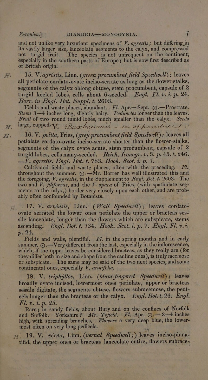 and not unlike very luxuriant specimens of V. agrestis ; but differing ,in its vastly larger size, lanceolate segments to the calyx, and compressed not turgid fruit. The species is not unfrequent on the continent, especially in the southern parts of Europe; but is now first described as of British origin. 15. V. agréstis, Linn. (green procumbent field Speedwell) ; leaves all petiolate cordato-ovate inciso-serrate as long as the flower stalks, segments of the calyx oblong obtuse, stem procumbent, capsule of 2 turgid keeled lobes, cells about 6-seeded. Engl, Fl. v. 7. p. 24. Borr. in Eingl. Bot. Suppl. t. 2603. Fields and waste places, abundant. £7. Apr.—Sept. © .—Prostrate. Stems 3—4 inches long, slightly hairy. Peduncles longer than the leaves. Fruit of two round tumid lobes, much smaller than the calyx. Seeds large, cupped OQ aban — see uffreriden/ 16. V. polita, Fries, (grey procumbent field Speedwetl) ; \eaves all petiolate cordato-ovate inciso-serrate shorter than the flower-stalks, segments of the calyx ovate acute, stem procumbent, capsule of 2 turgid lobes, cells many-seeded. eich. Iconogr. v. 3. p. 49. t. 246.. —V. agrestis. Engl. Bot. t. 783. Hook. Scot. 2. p. 7. Cultivated fields and waste places, often with the preceding. JV. throughout the summer. ©.—Mr. Borrer has well illustrated this and the foregoing, V. agrestis, in the Supplement to Hng/. Bot. t. 2603. The two and V. filiformis, and the V. opaca of Fries, (with spathulate seg- ments to the calyx,) border very closely upon each other, and are prob- ably often confounded by Botanists. _ 1%, V. arvénsis, Linn. (Wall Speedwell) ; leaves cordato- ovate serrated the lower ones petiolate the upper or bracteas ses- sile lanceolate, longer than the flowers which are subspicate, stems ascending. Hngl. Bot. t. 734. Hook, Scot. 1. p.%. Engl, Fl. v. 7%. Fields and walls, plentiful. 2. in the spring months and in early summer. ©.— Very different from the last, especially in the inflorescence, which, if the upper leaves be considered bracteas, as they really are (for they differ both in size and shape from the canline ones), is truly racemose or subspicate. The same may be said of the two next species, and some continental ones, especially V. acinifolia, 18. V. triphyllos, Linn. (blunt-fingered Speedwell) ; \eaves broadly ovate incised, lowermost ones petiolate, upper or bracteas sessile digitate, the segments obtuse, flowers subracemose, the pedi- eels longer than the bracteas or the calyx. Engl. Bot.t.26. Engl. Fil. v, i. p. 25. | | Rare; in sandy fields, about Bury and on the confines of Norfolk and Suffolk. Yorkshire? Mr. Tofield. Fl. Apr. ©.— 3—4 inches high, with spreading branches. Flowers a very deep blue, the lower- most often on very long pedicels. ae ; tifid, the upper ones or bracteas lanceolate entire, flowers subrace-