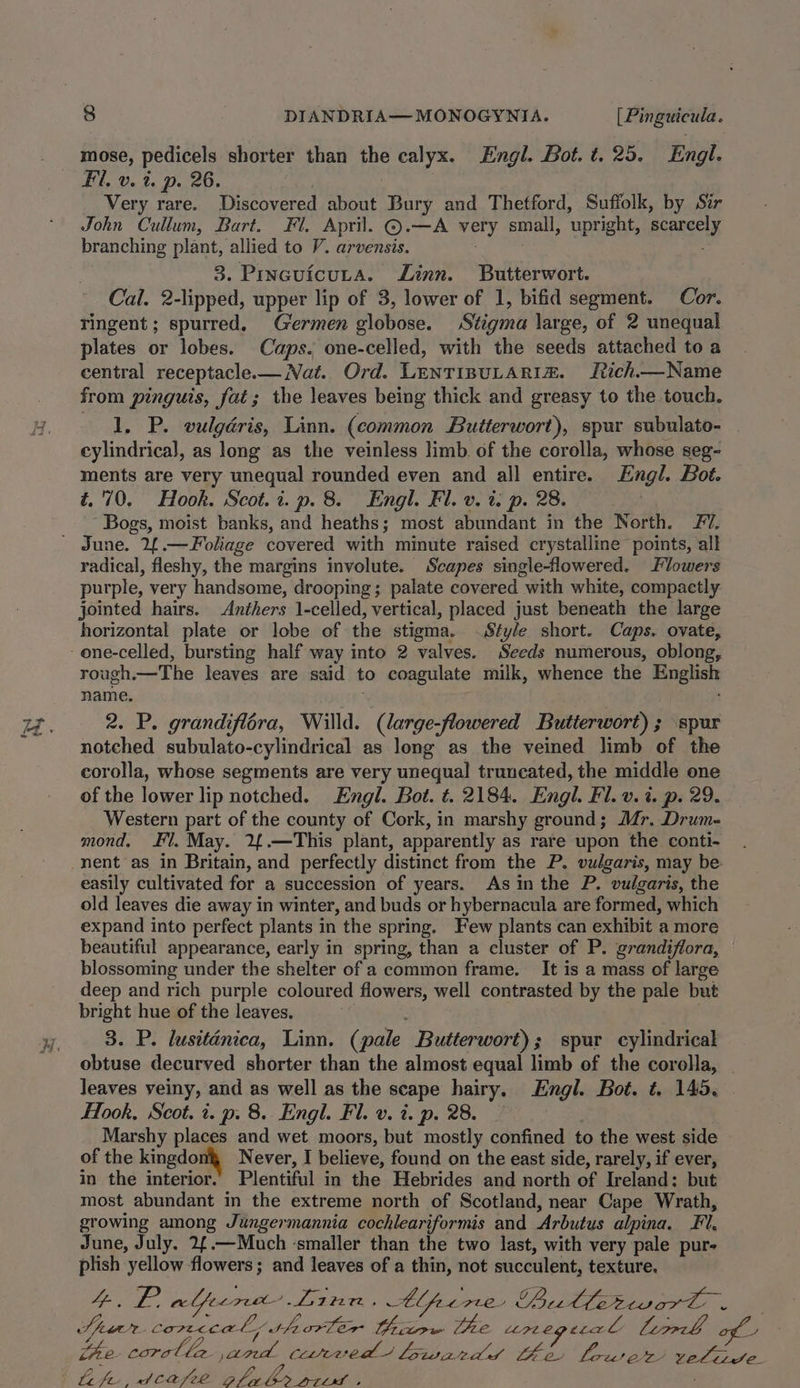 Fil. v. 2. p. 26. i Very rare. Discovered about Bury and Thetford, Suffolk, by Sir John Cullum, Bart. Fl. April. @©.—A very small, upright, scarcely branching plant, allied to V. arvensis. | 3. Pinevicuta. Linn. Butterwort. Cal. 2-lipped, upper lip of 3, lower of 1, bifid segment. Cor. ringent; spurred. Germen globose. Stigma large, of 2 unequal plates or lobes. Caps. one-celled, with the seeds attached to a central receptacle— Nat. Ord. LenTIBULARIZ. Iich—Name from pinguis, fat; the leaves being thick and greasy to the touch. 1. P. vulgéris, Linn. (common Butterwort), spur subulato- cylindrical, as long as the veinless limb. of the corolla, whose seg- ments are very unequal rounded even and all entire. Engl. Bot. t.'70. Hook. Scot.i. p. 8. Engl. Fl. v. 2. p. 28. Bogs, moist banks, and heaths; most abundant in the North. 7. radical, fleshy, the margins involute. Scapes single-flowered. Flowers purple, very handsome, drooping; palate covered with white, compactly jointed hairs. Anthers 1-celled, vertical, placed just beneath the large horizontal plate or lobe of the stigma. Style short. Caps. ovate, rough.—The leaves are said to coagulate milk, whence the English name. 2. P. grandiflora, Willd. (large-flowered Butterwort) ; spur notched subulato-cylindrical as long as the veined limb of the corolla, whose segments are very unequal truncated, the middle one of the lower lip notched. Engl. Bot. ¢. 2184. Engl. Fl. v. i. p. 29. Western part of the county of Cork, in marshy ground; M@r. Drum- mond, Fl. May. 2{.—This plant, apparently as rare upon the conti- easily cultivated for a succession of years. As in the P. vulgaris, the old leaves die away in winter, and buds or hybernacula are formed, which expand into perfect plants in the spring. Few plants can exhibit a more beautiful appearance, early in spring, than a cluster of P. grandifiora, blossoming under the shelter of a common frame. It is a mass of large deep and rich purple coloured flowers, well contrasted by the pale but bright hue of the leaves, | 3. P. lusiténica, Linn. (pale Butterwort); spur cylindrical obtuse decurved shorter than the almost equal limb of the corolla, | leaves veiny, and as well as the scape hairy. Engl. Bot. ¢. 145, Hook, Scot. i. p. 8. Engl. Fl. v. i. p. 28. | Marshy places and wet moors, but mostly confined to the west side of the kingdo Never, I believe, found on the east side, rarely, if ever, in the interior.’ Plentiful in the Hebrides and north of Ireland: but most abundant in the extreme north of Scotland, near Cape Wrath, growing among Jungermannia cochleariformis and Arbutus alpina. Fl, June, July. 2{.—Much ‘smaller than the two last, with very pale pur- plish yellow flowers; and leaves of a thin, not succulent, texture. AE, Vig alpen Linn , Ah pere OSistietaene